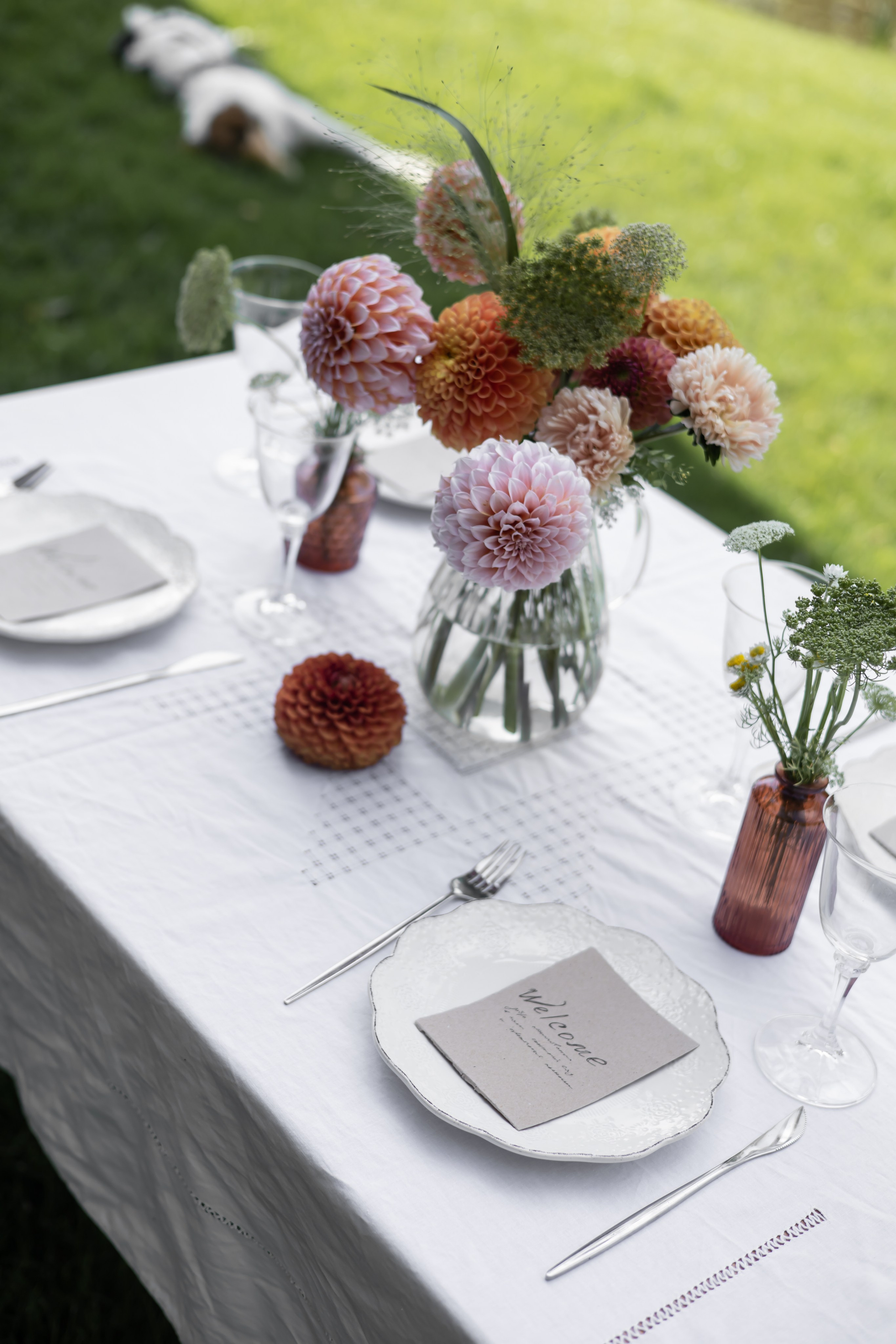 ДИНИЯ. Фотограф Элла Ефимова