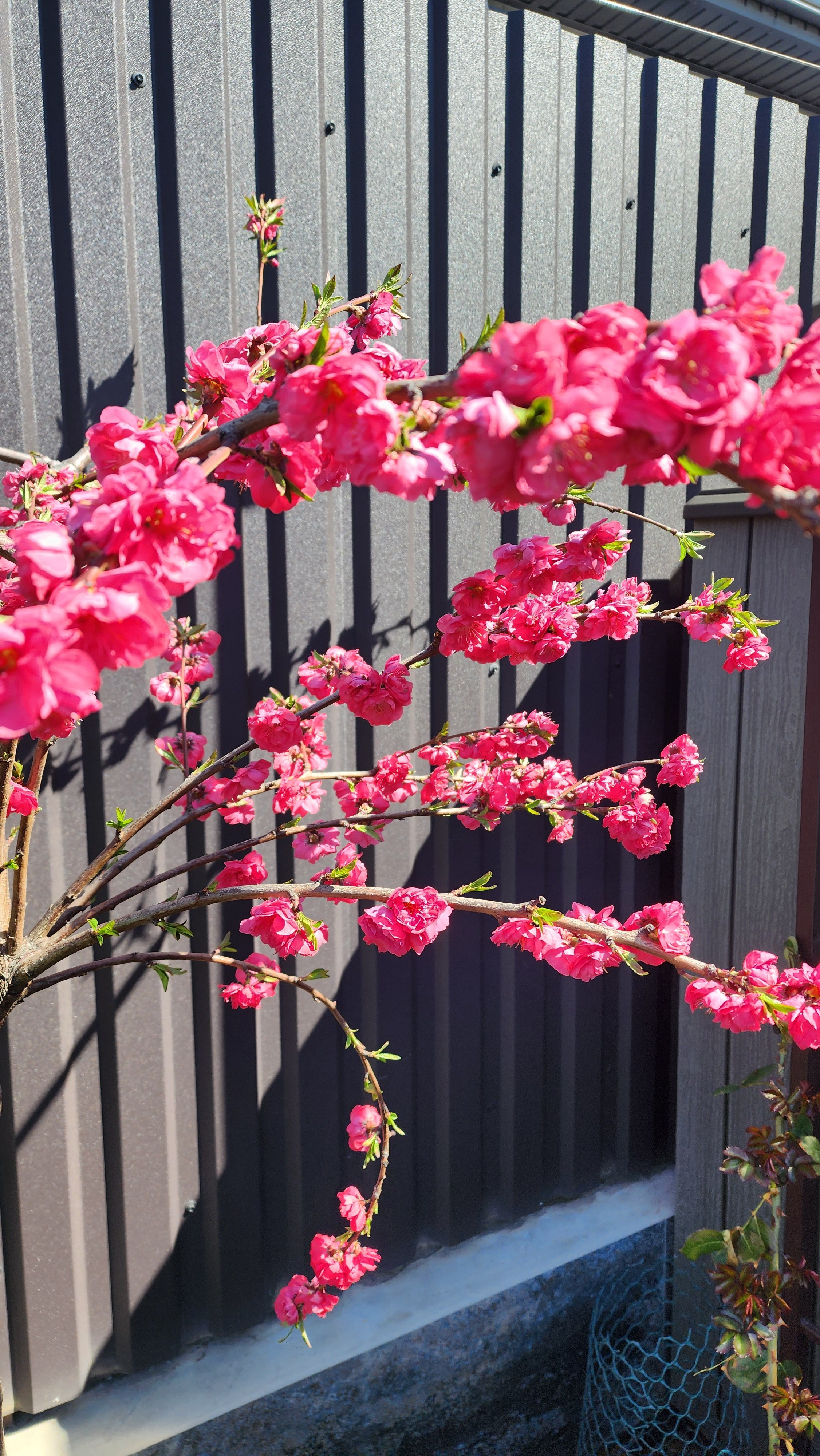 Участок Оксана. Дизайн интерьера, мебели и ландшафта на КМВ | OXY Design