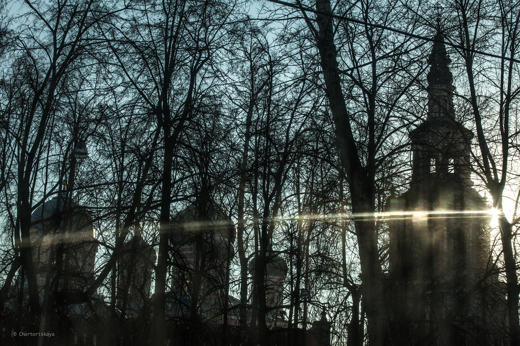 Фото городов. Дарья Чарторийская — режиссер, продюсер, фотограф, художник, журналист, клинический психолог