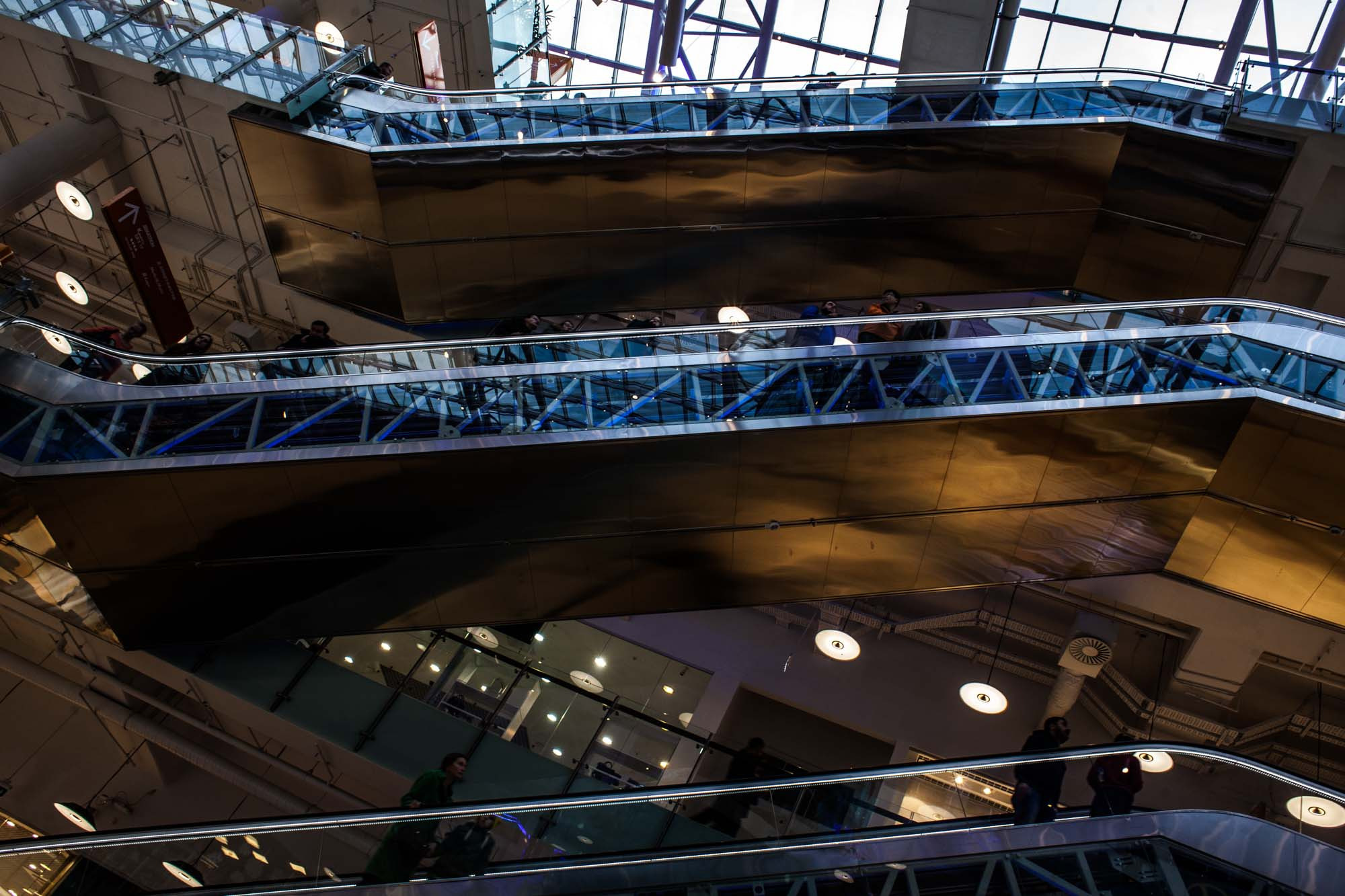 Cities. Daria Chartoriyskaya — director, producer, photographer, artist, journalist, clinical psychologist