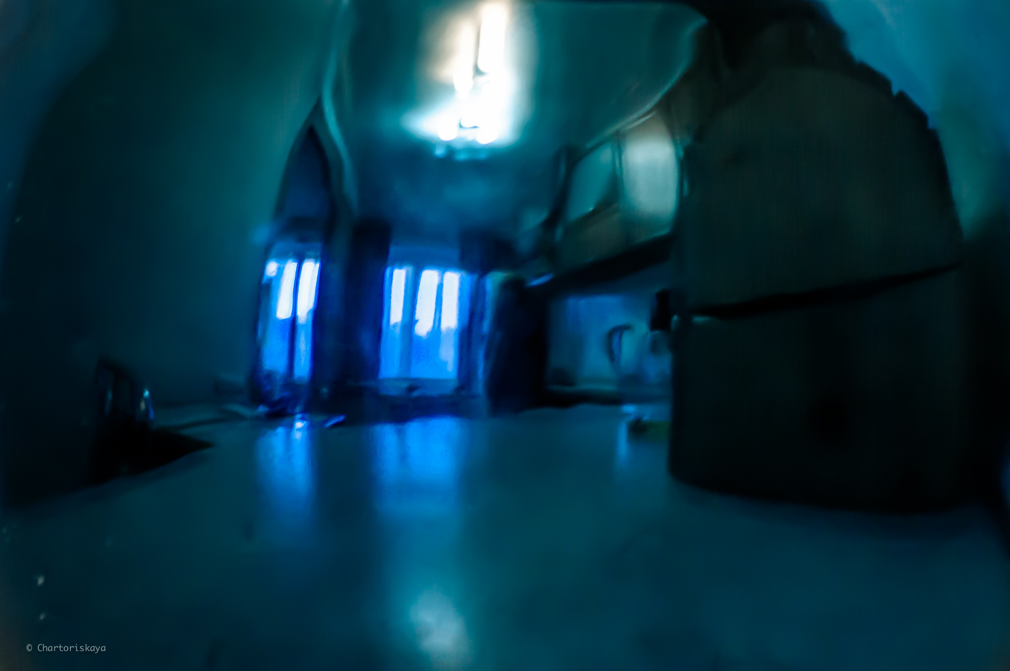 Творческая фотография. Дарья Чарторийская — режиссер, продюсер, фотограф, художник, журналист, клинический психолог