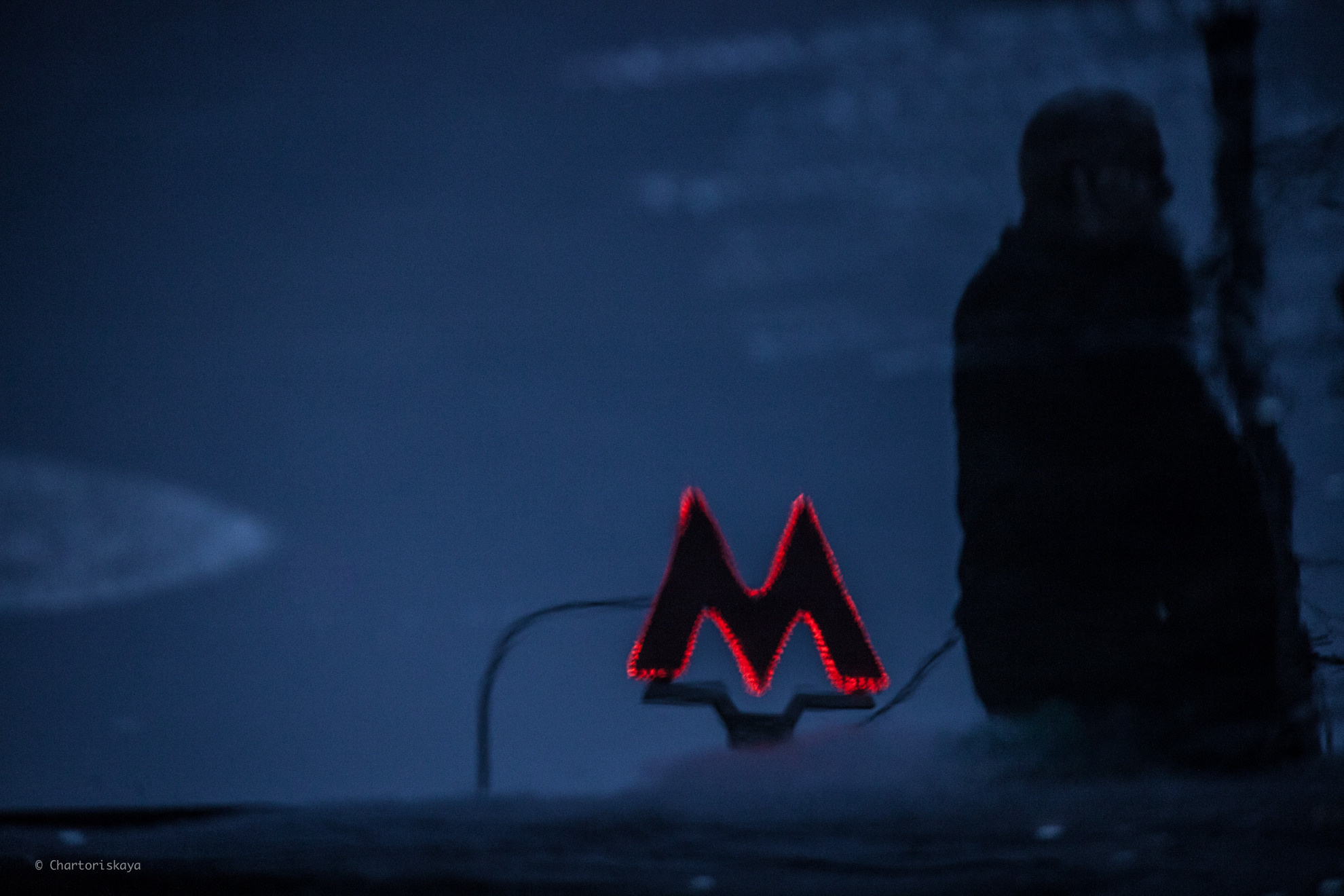 Творческая фотография. Дарья Чарторийская — режиссер, продюсер, фотограф, художник, журналист, клинический психолог