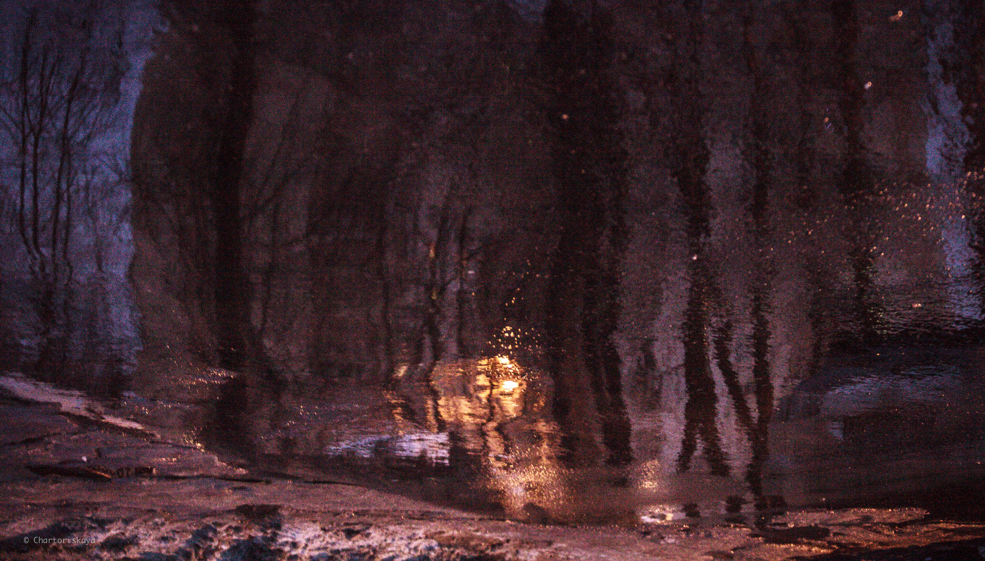 Творческая фотография. Дарья Чарторийская — режиссер, продюсер, фотограф, художник, журналист, клинический психолог