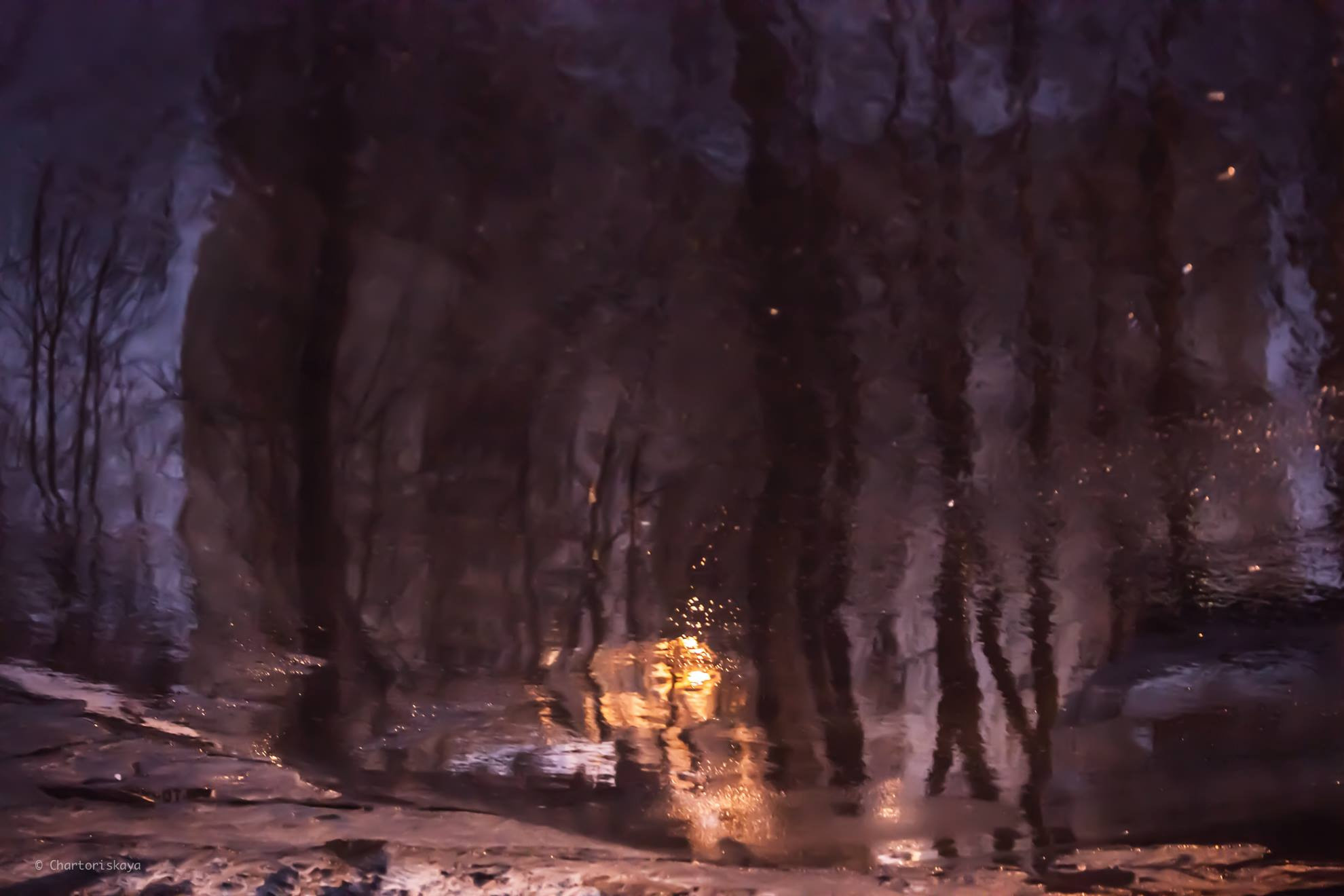 Творческая фотография. Дарья Чарторийская — режиссер, продюсер, фотограф, художник, журналист, клинический психолог