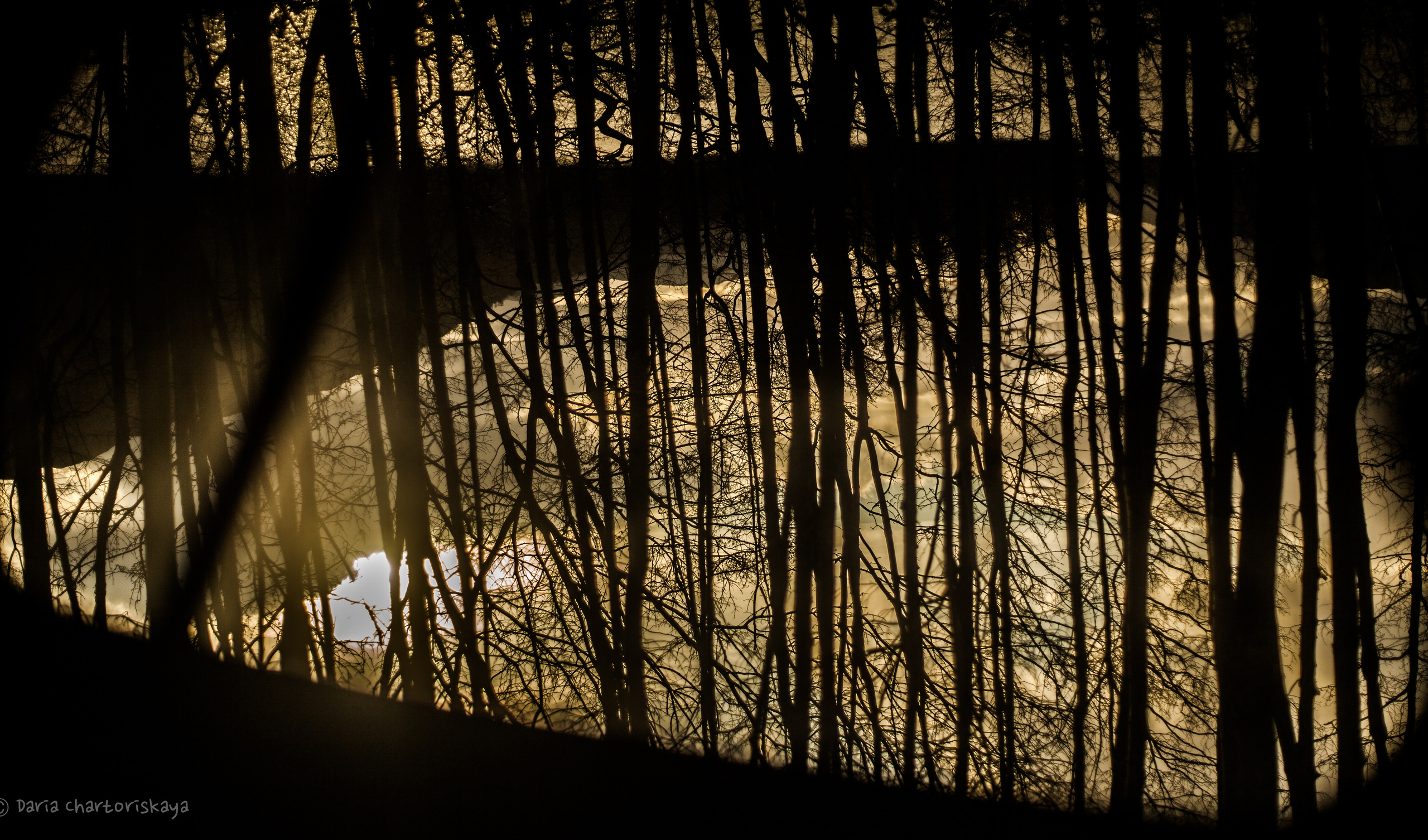 Творческая фотография. Дарья Чарторийская — режиссер, продюсер, фотограф, художник, журналист, клинический психолог