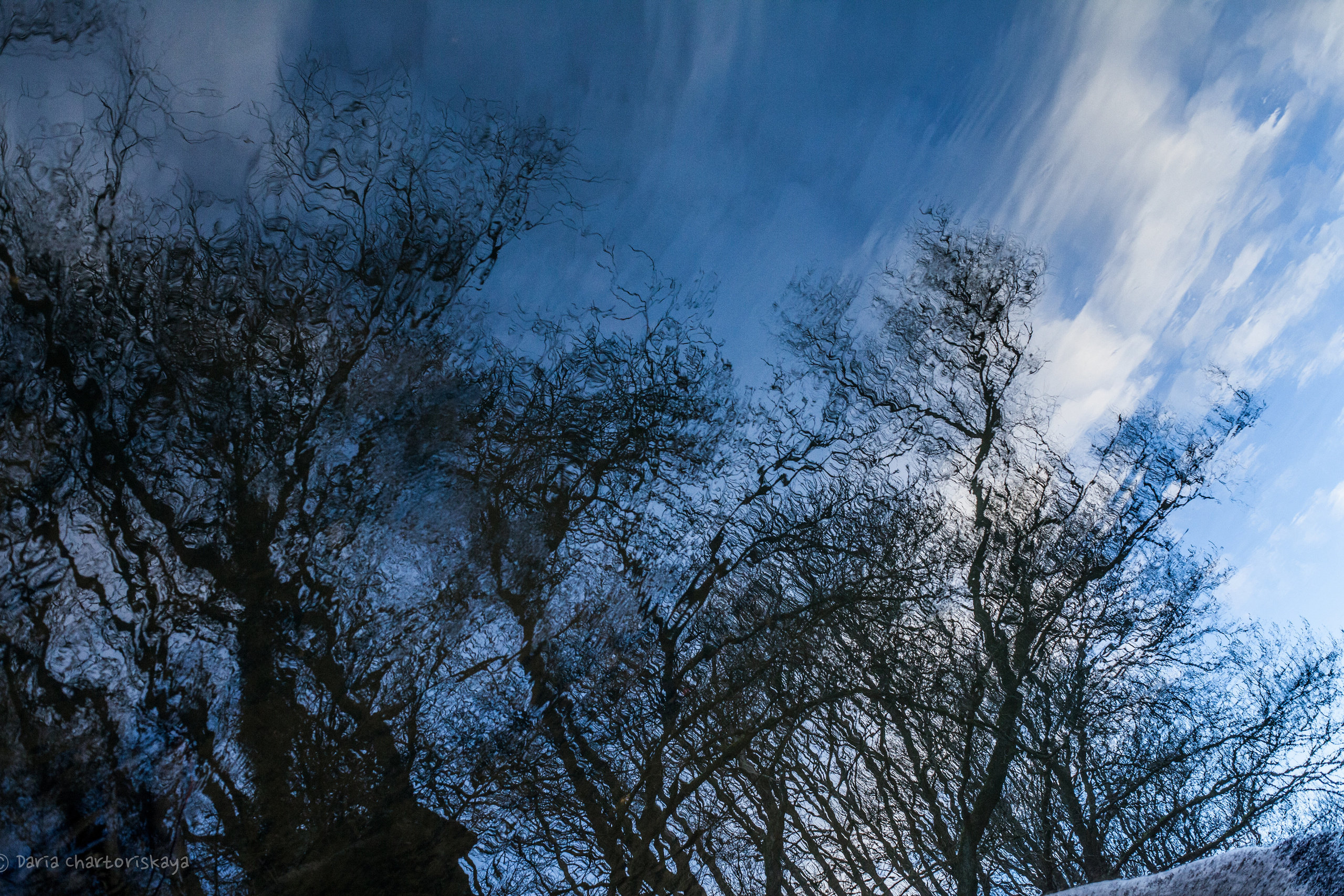 Творческая фотография. Дарья Чарторийская — режиссер, продюсер, фотограф, художник, журналист, клинический психолог