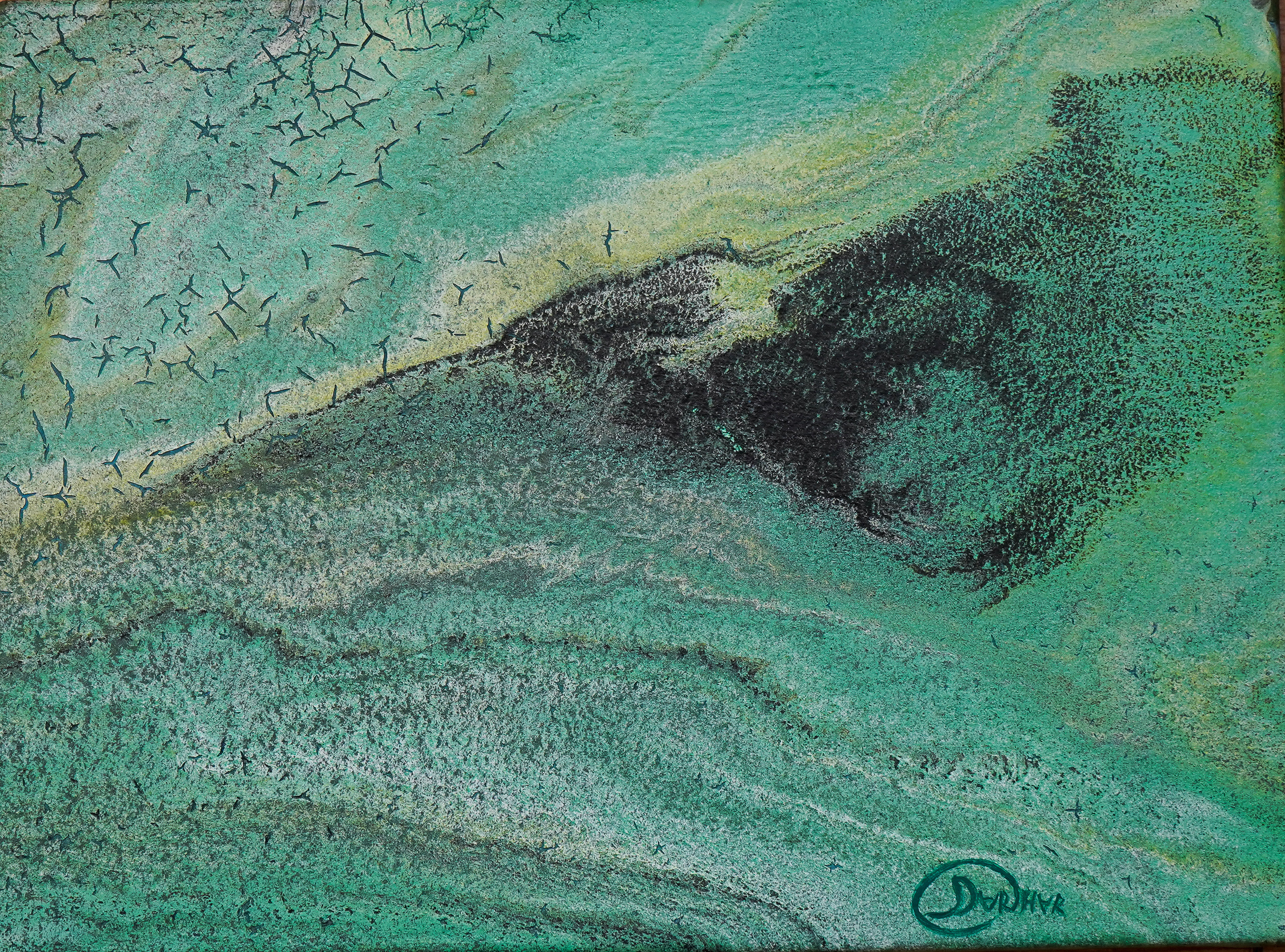 Картина. Холст. Акрил. Абстракция. Черно-серые разводы, напоминающие птицу на бледно-зеленом фоне Художник Дарья Чарторийская