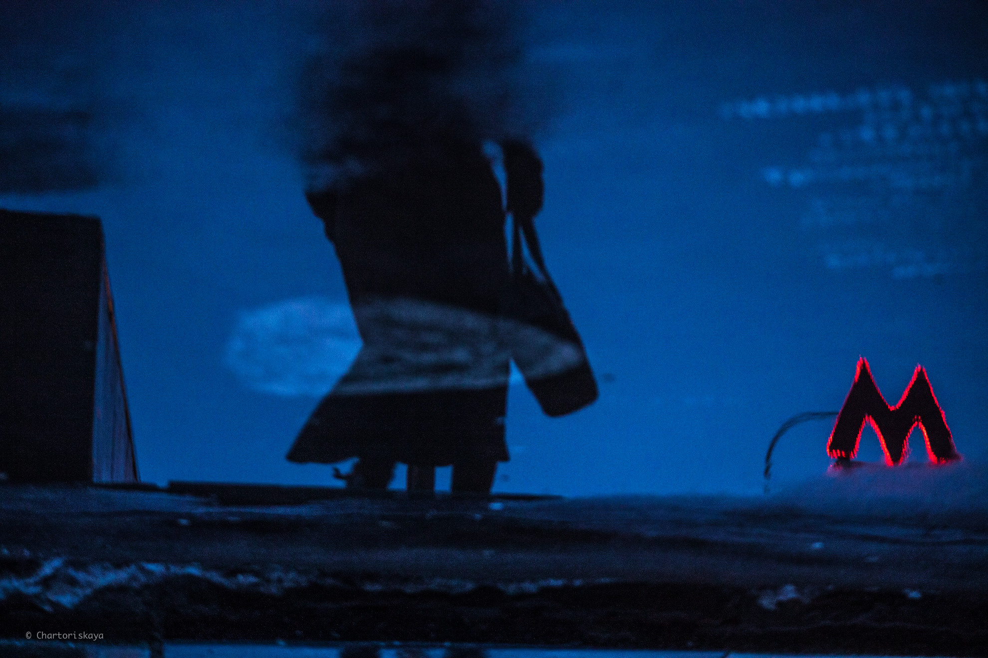 Творческая фотография. Дарья Чарторийская — режиссер, продюсер, фотограф, художник, журналист, клинический психолог