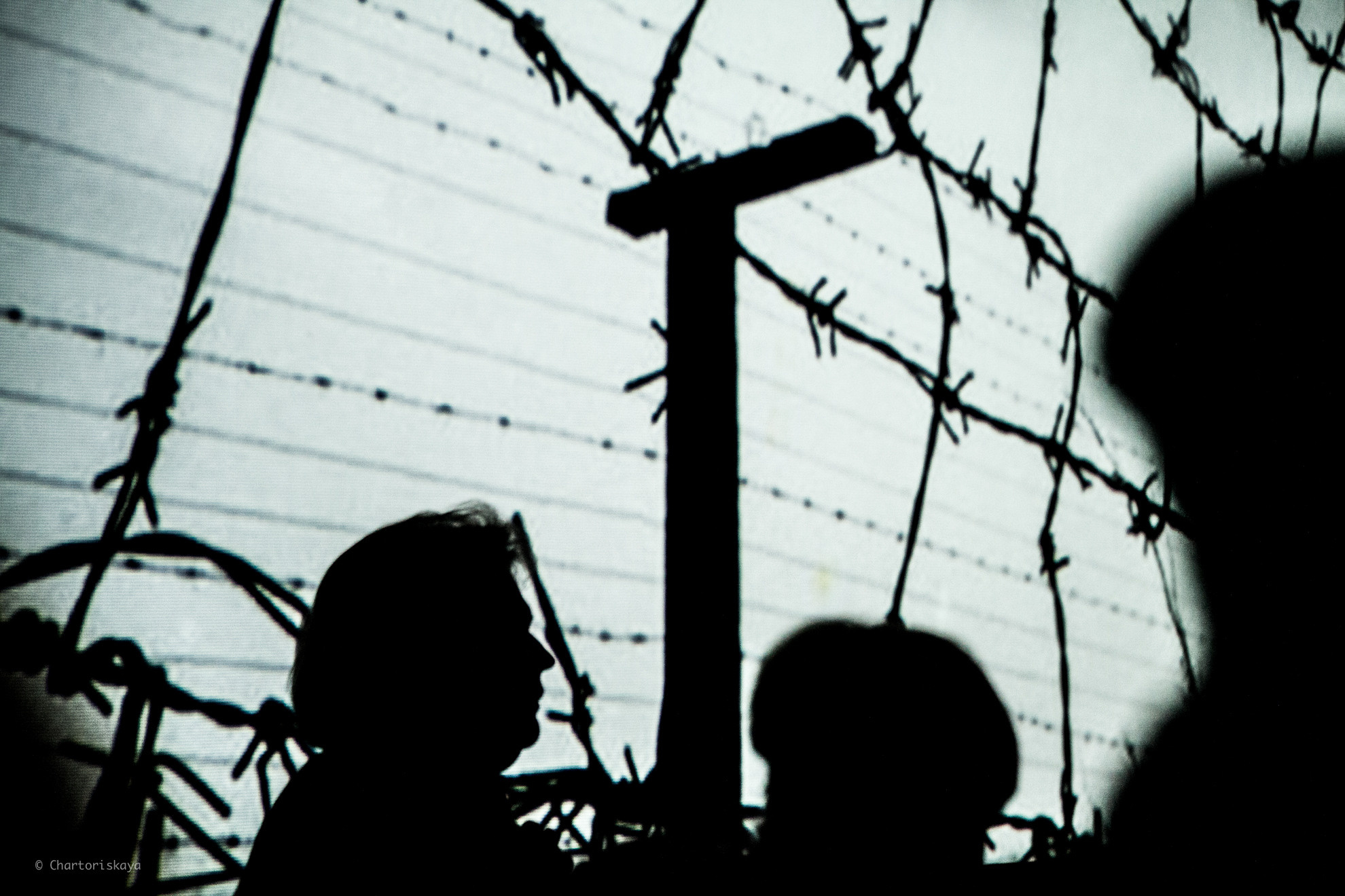 Фотографии с мероприятий. Дарья Чарторийская — режиссер, продюсер, фотограф, художник, журналист, клинический психолог