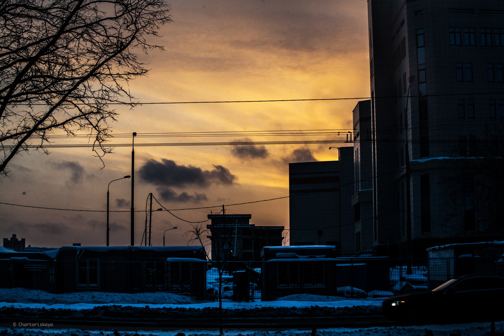 Фото городов. Дарья Чарторийская — режиссер, продюсер, фотограф, художник, журналист, клинический психолог