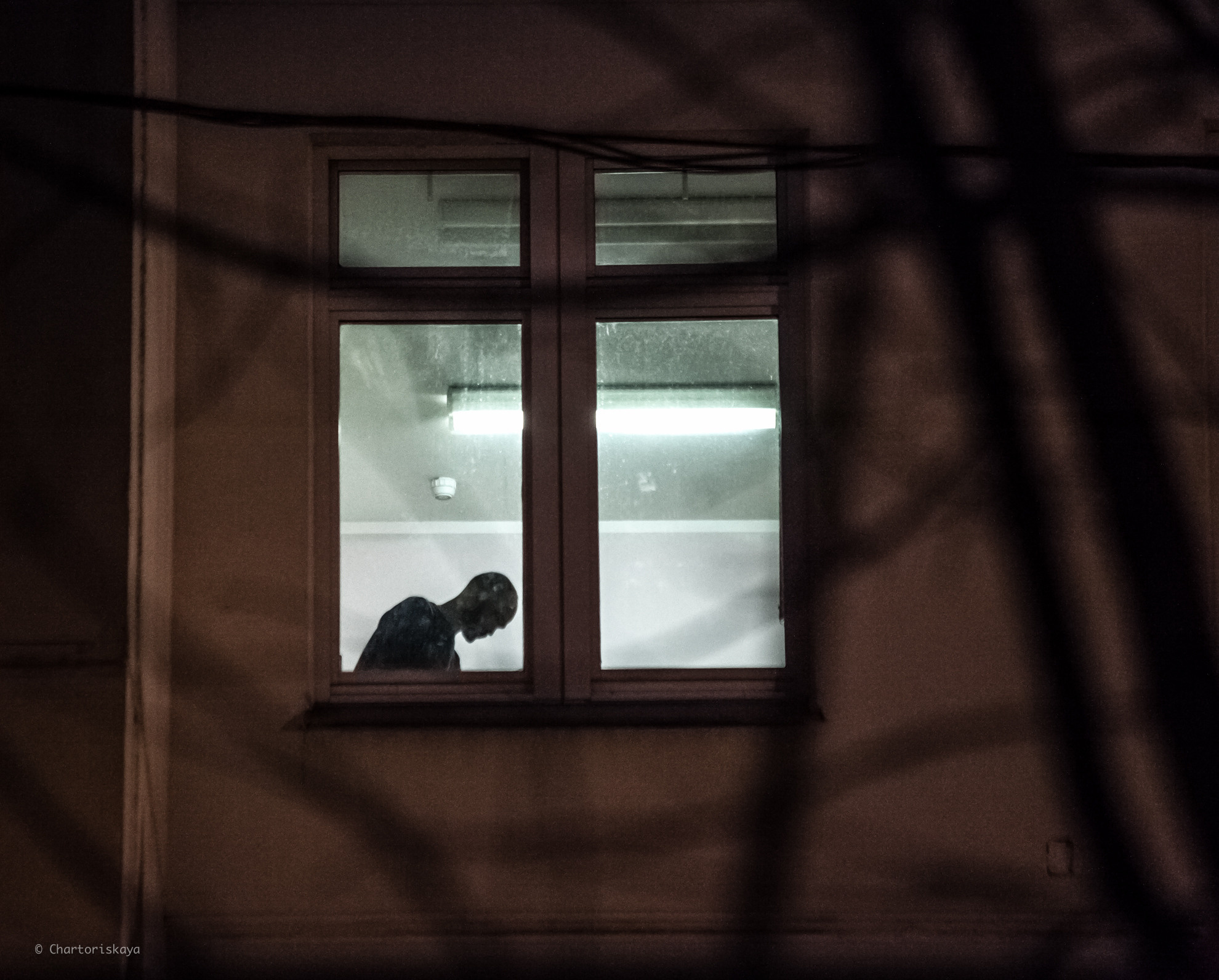 Street photo. Daria Chartoriyskaya — director, producer, photographer, artist, journalist, clinical psychologist