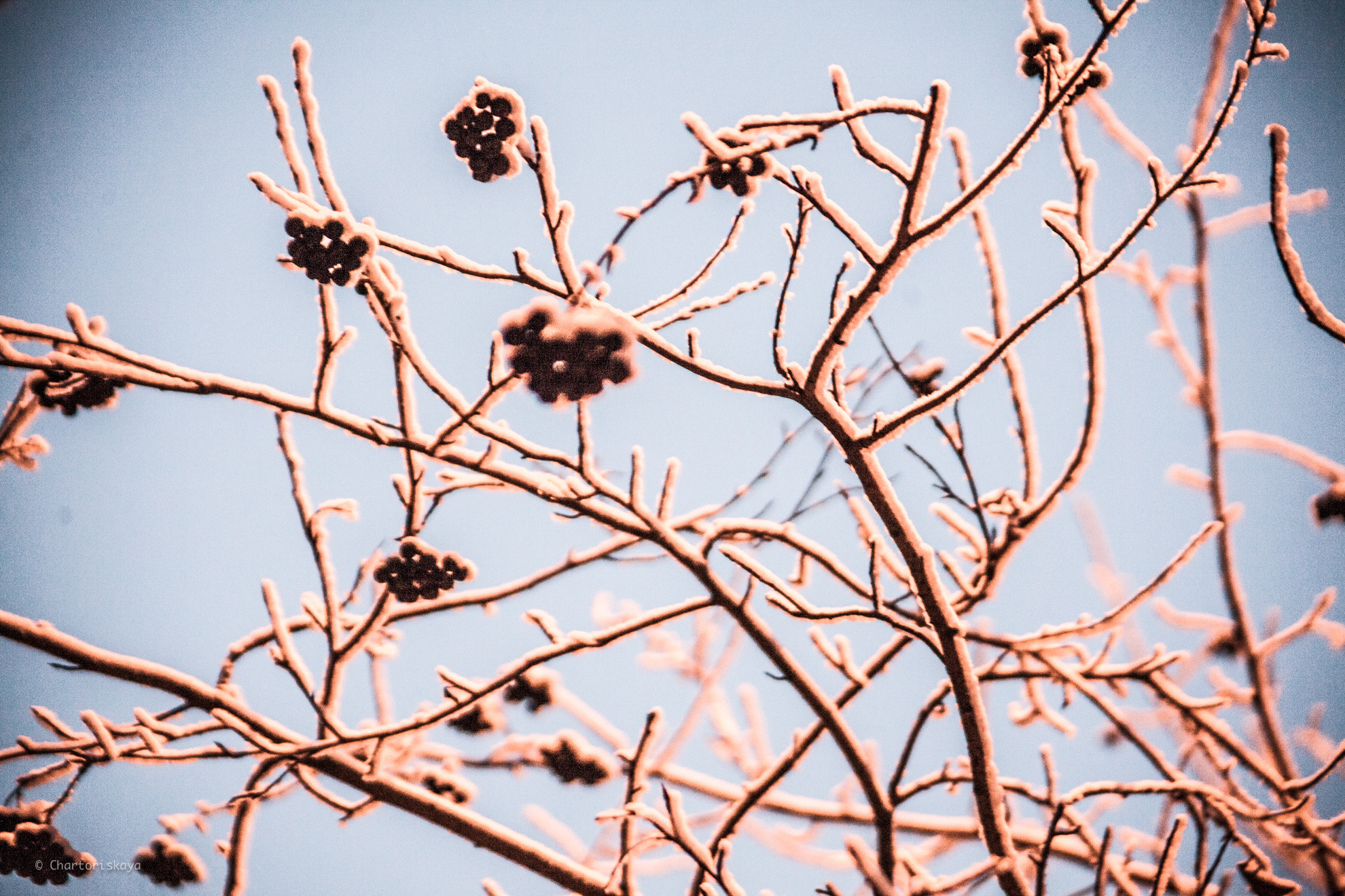 Пейзаж. Дарья Чарторийская — режиссер, продюсер, фотограф, художник, журналист, клинический психолог