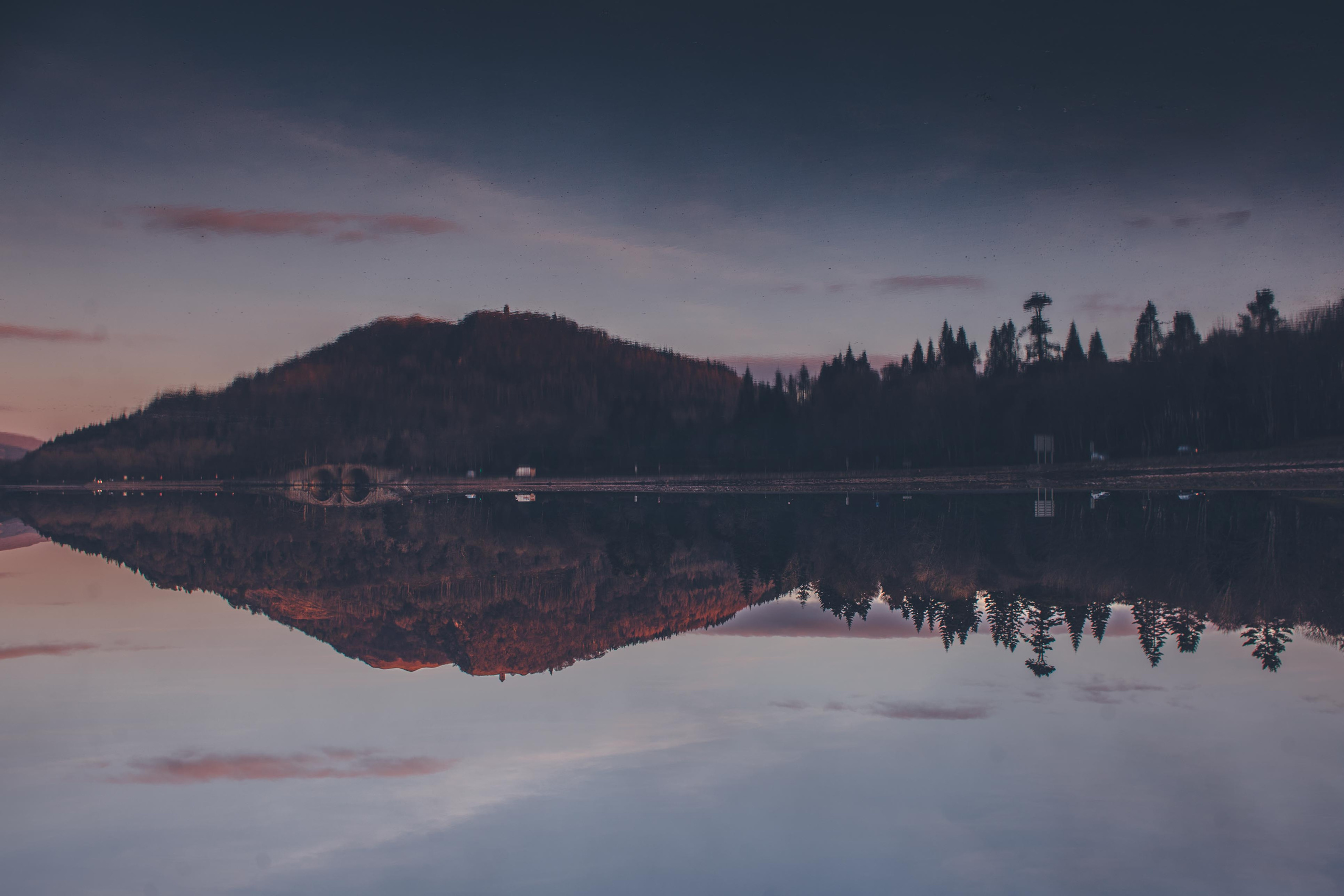 Пейзаж. Дарья Чарторийская — режиссер, продюсер, фотограф, художник, журналист, клинический психолог