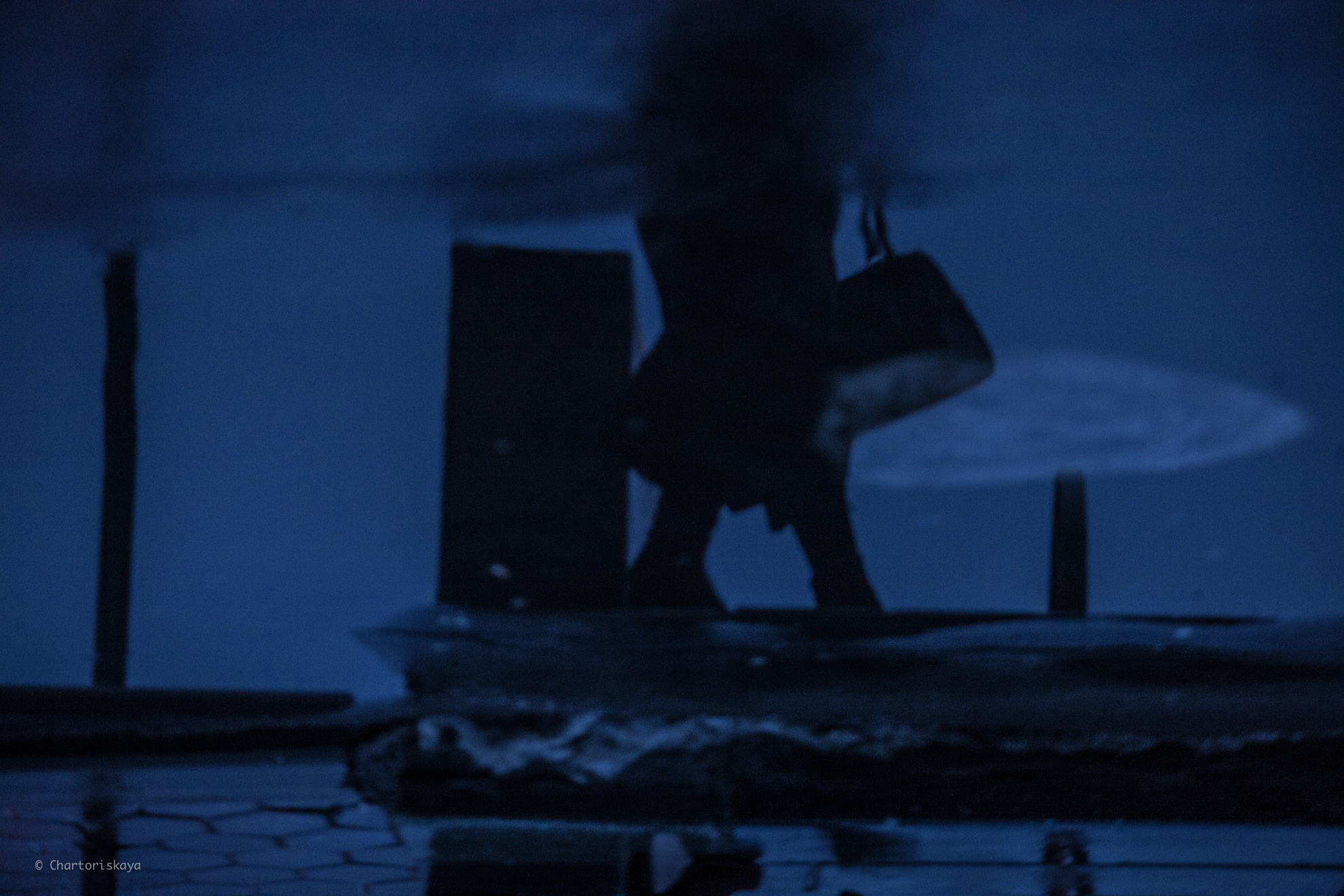 Творческая фотография. Дарья Чарторийская — режиссер, продюсер, фотограф, художник, журналист, клинический психолог