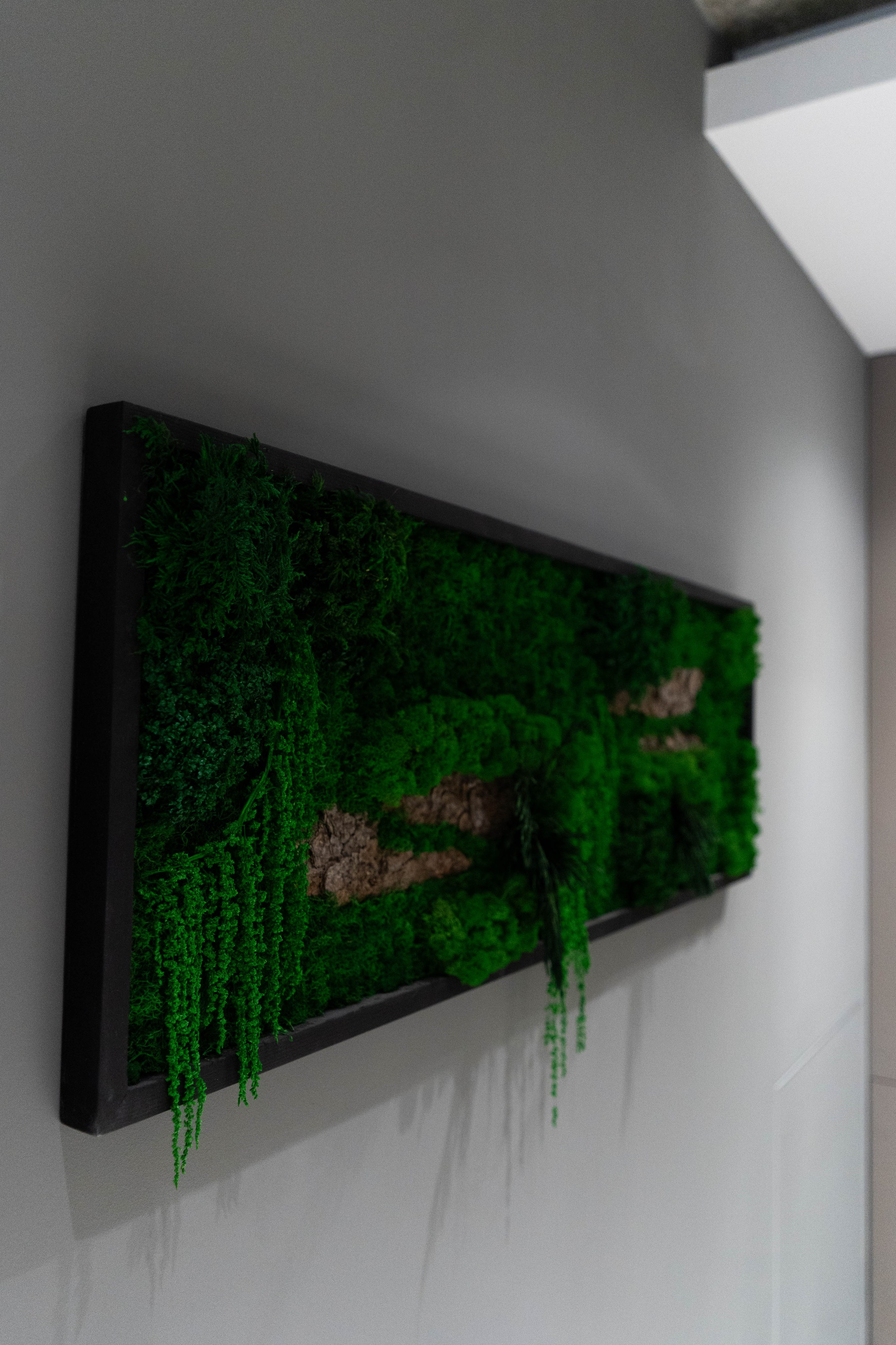 KP Cambridge. Rezyame