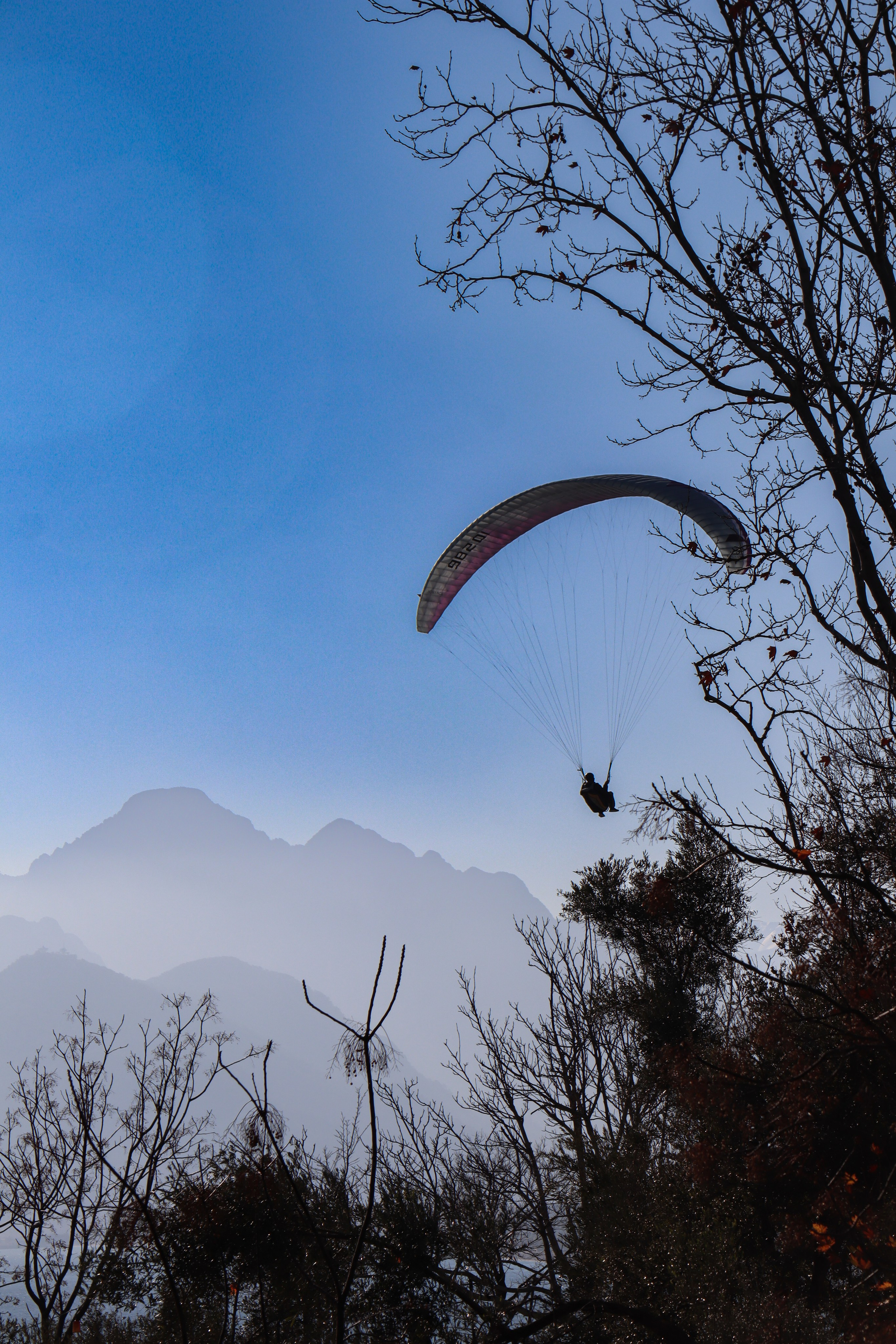 СТРИТ / ТРЕВЕЛ. Семейный и travel-фотограф из Израиля