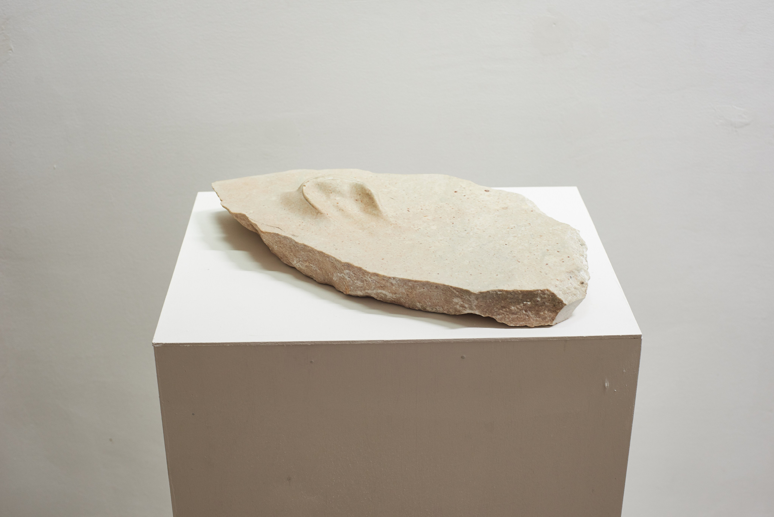 THE ALIENATED BODY. Ilmira Bolotyan — Interdisciplinary Artist and Curator