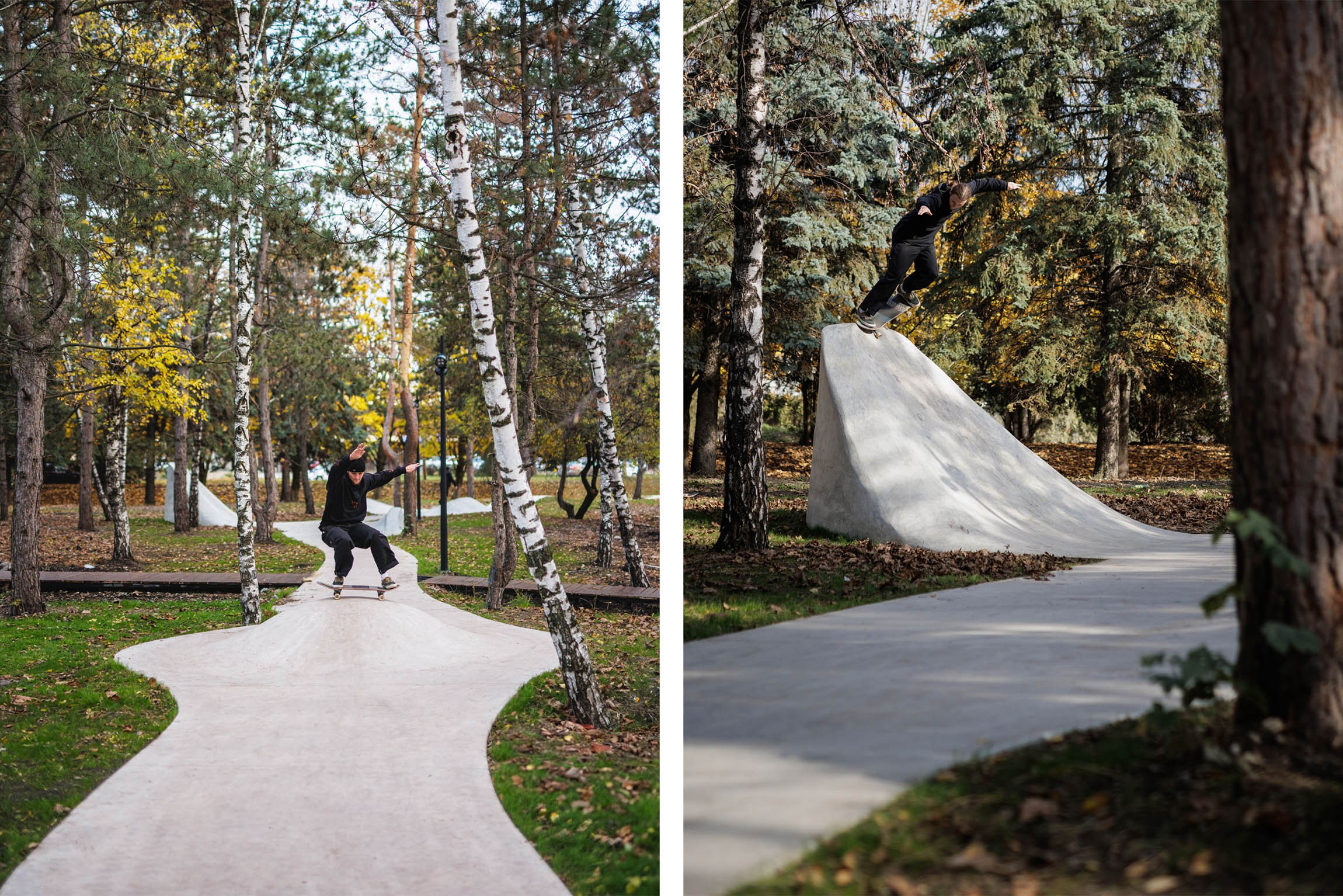 Action / Highlights. Bivol images