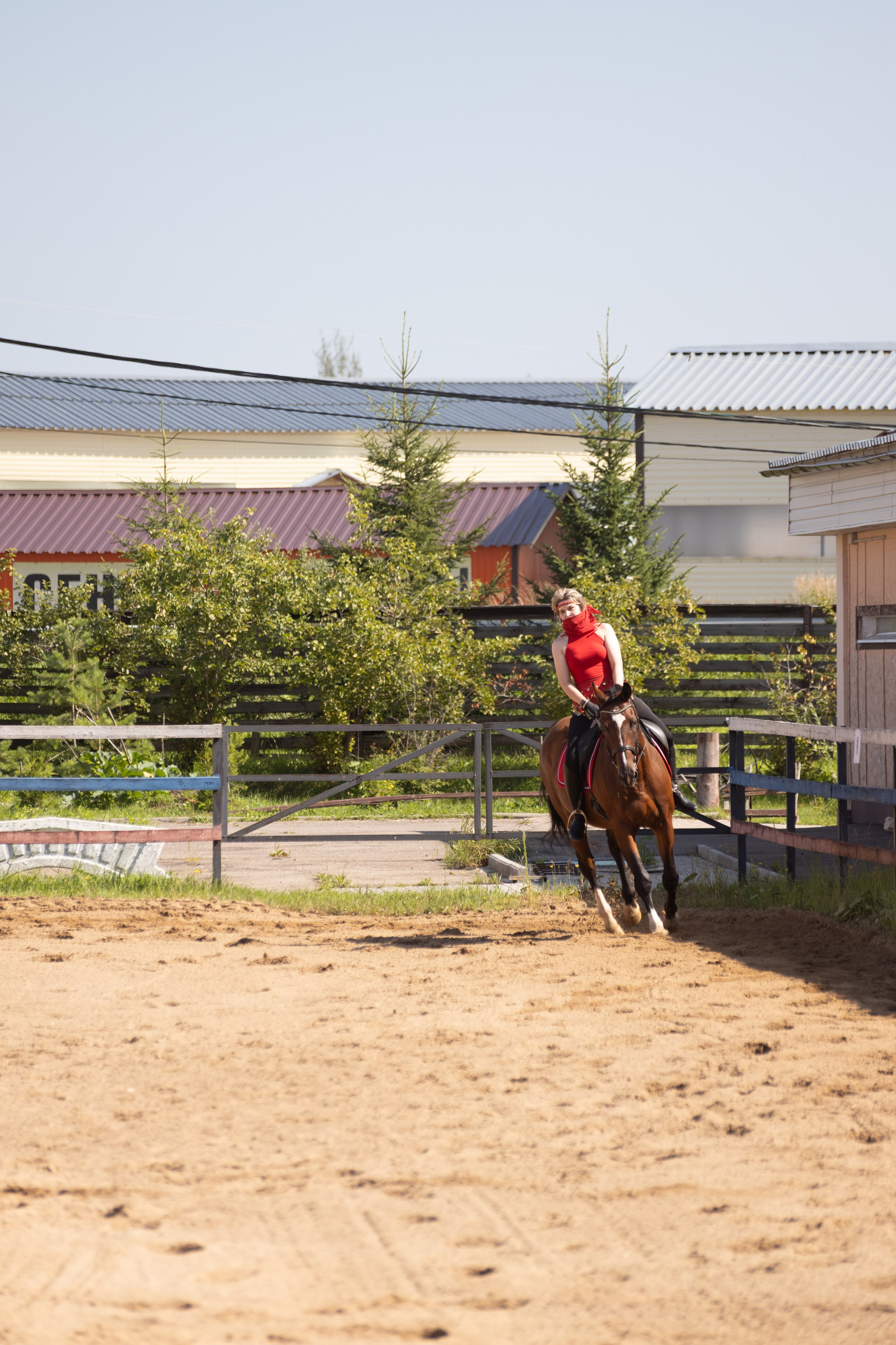 Конюшня. Фотограф в Москве и Истре