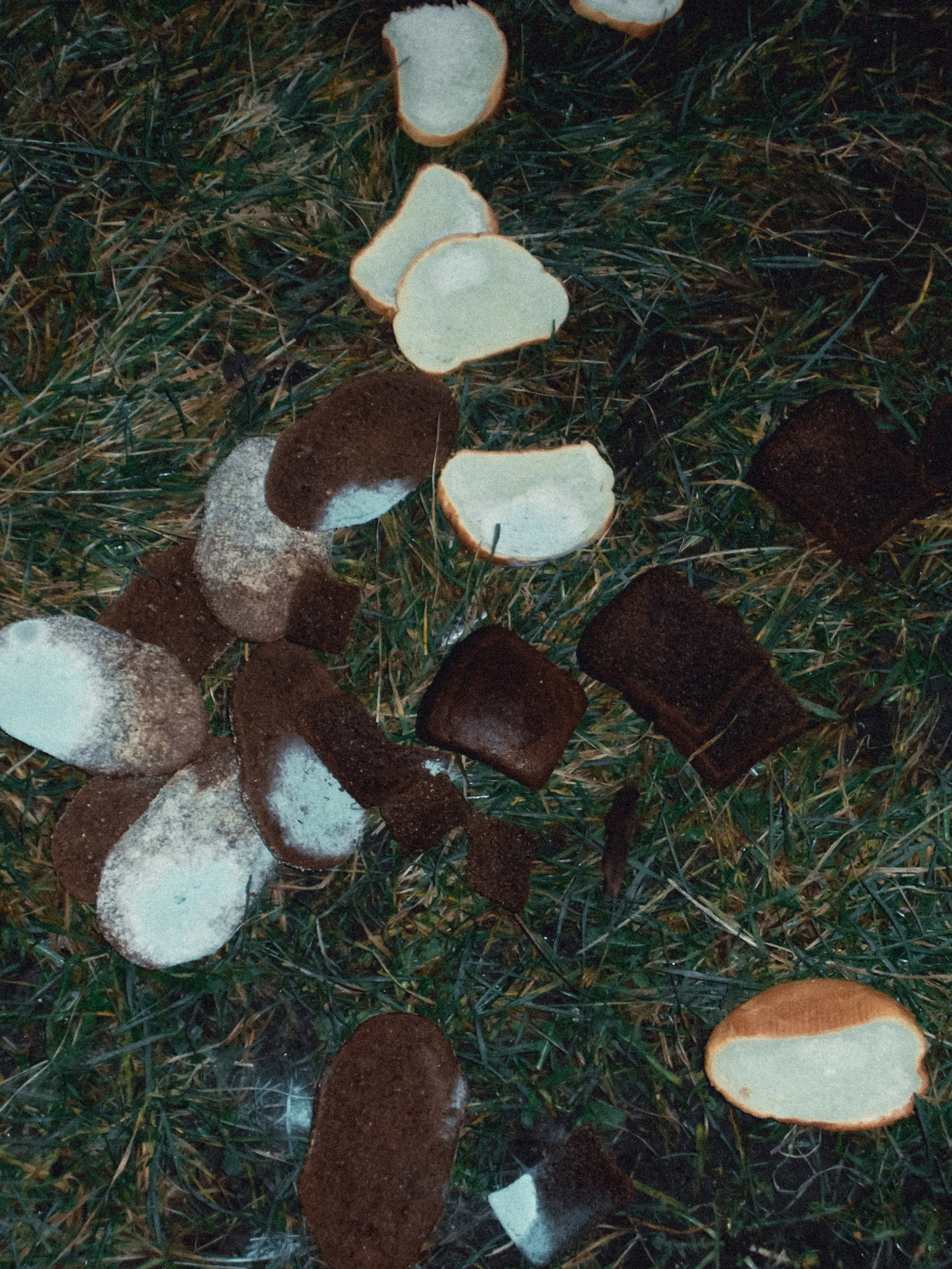 Nikon coolpix l26. Анна Мильч