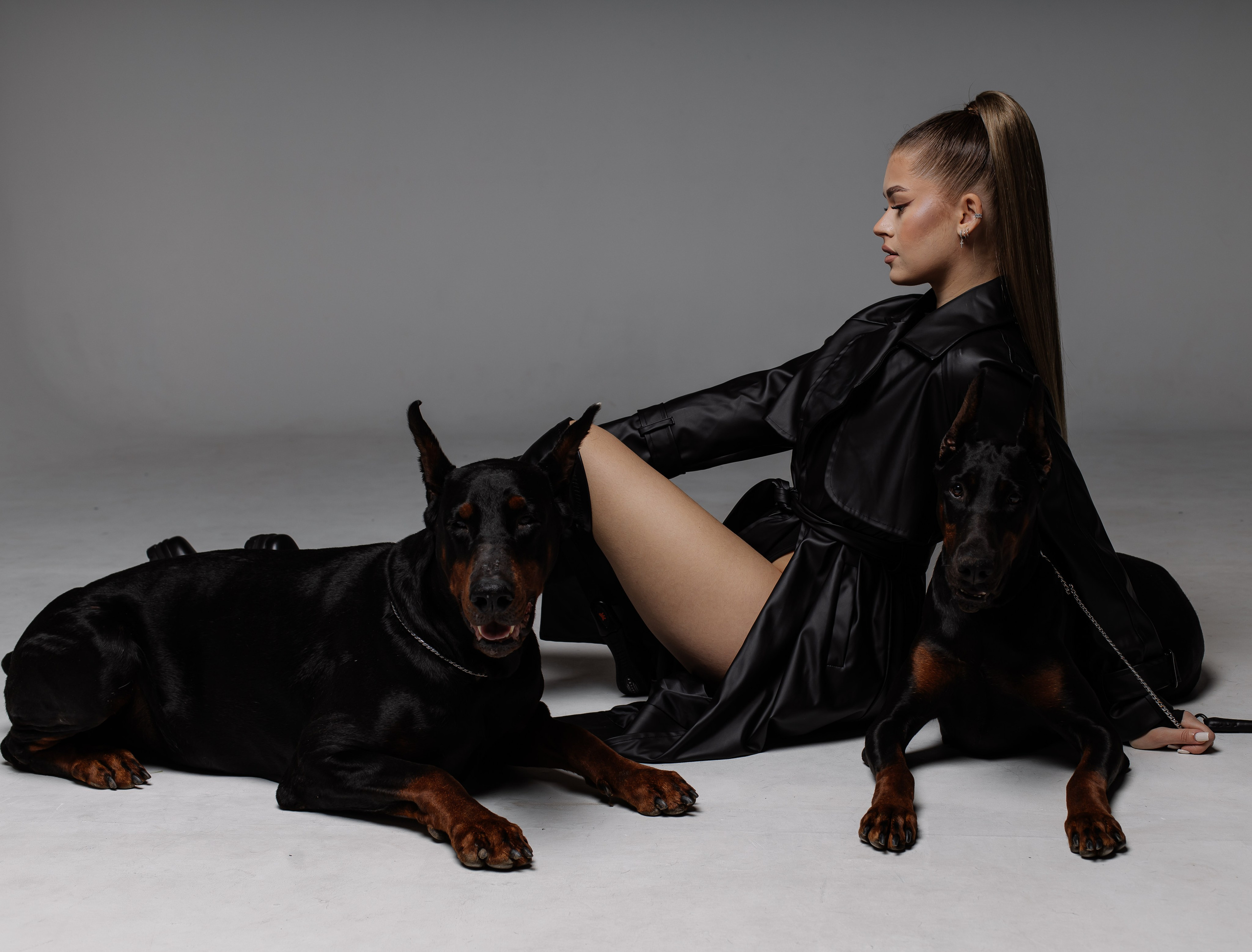 Съемка с доберманами. СВАДЕБНЫЙ ФОТОГРАФ ЧЕЛЯБИНСК