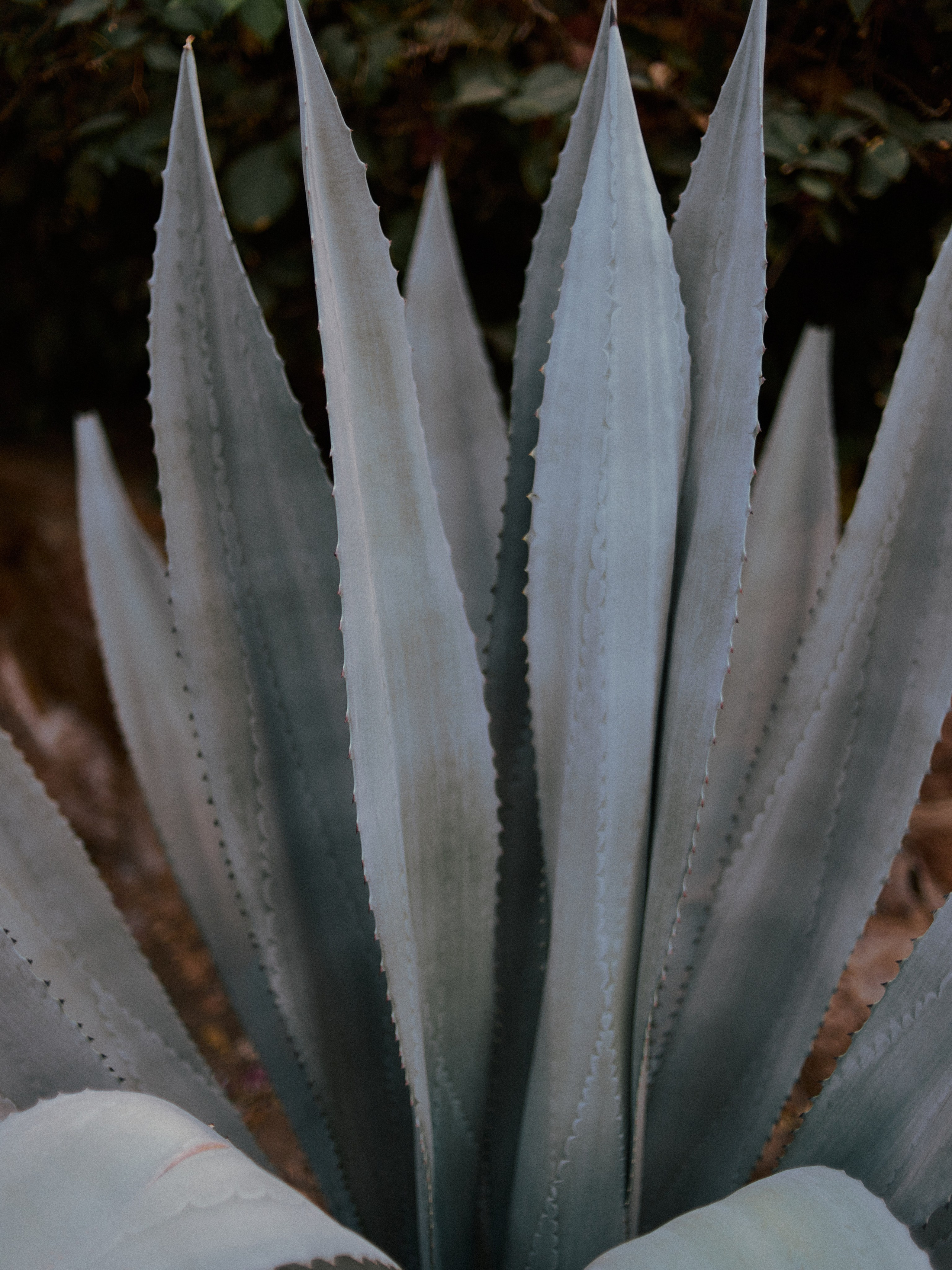 Природа. Jorgis Talè — photographer, kind person, teacher of arts and other mag