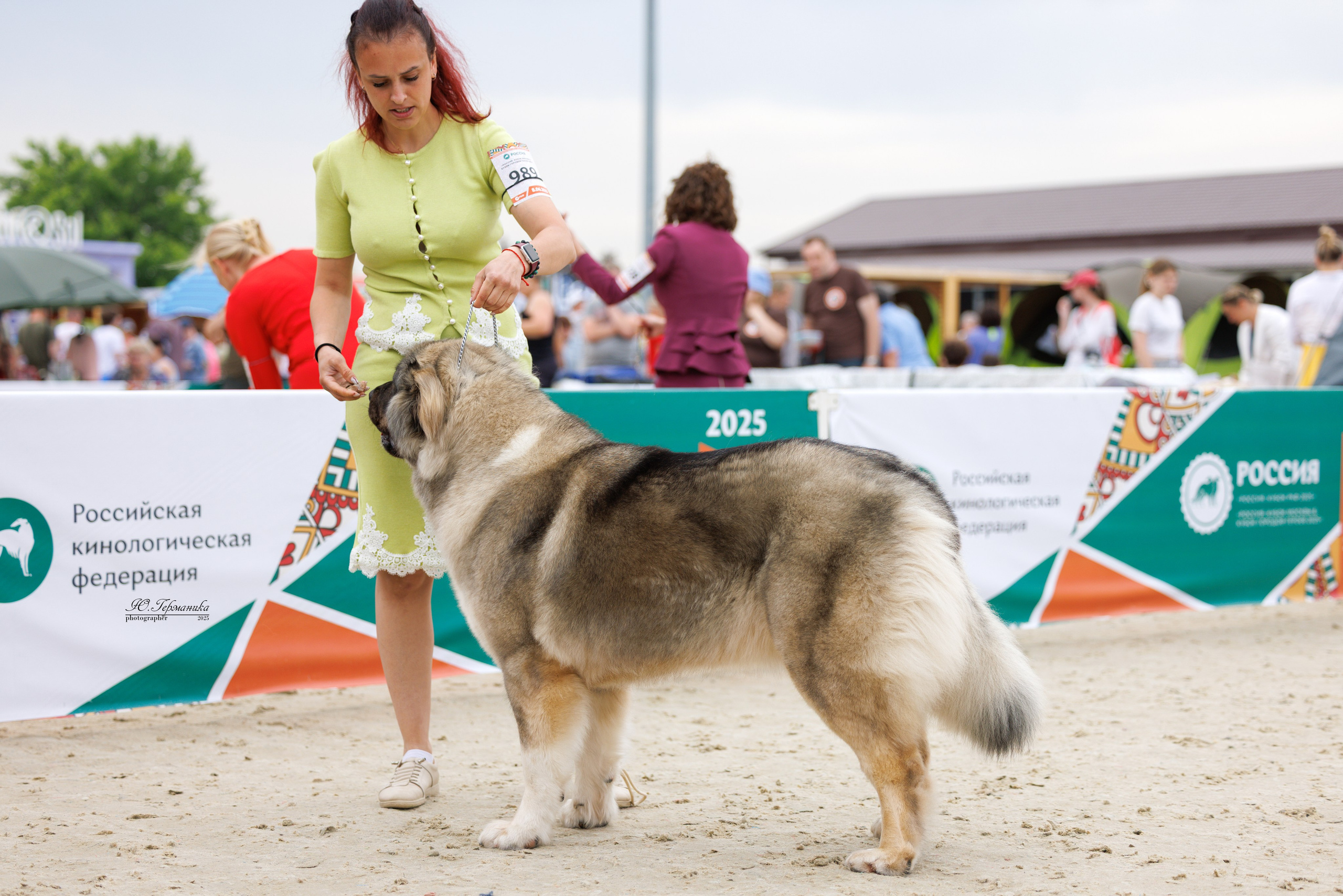 РОССИЯ 7-8.06.2025. Фотограф-анималист Юлия Германика