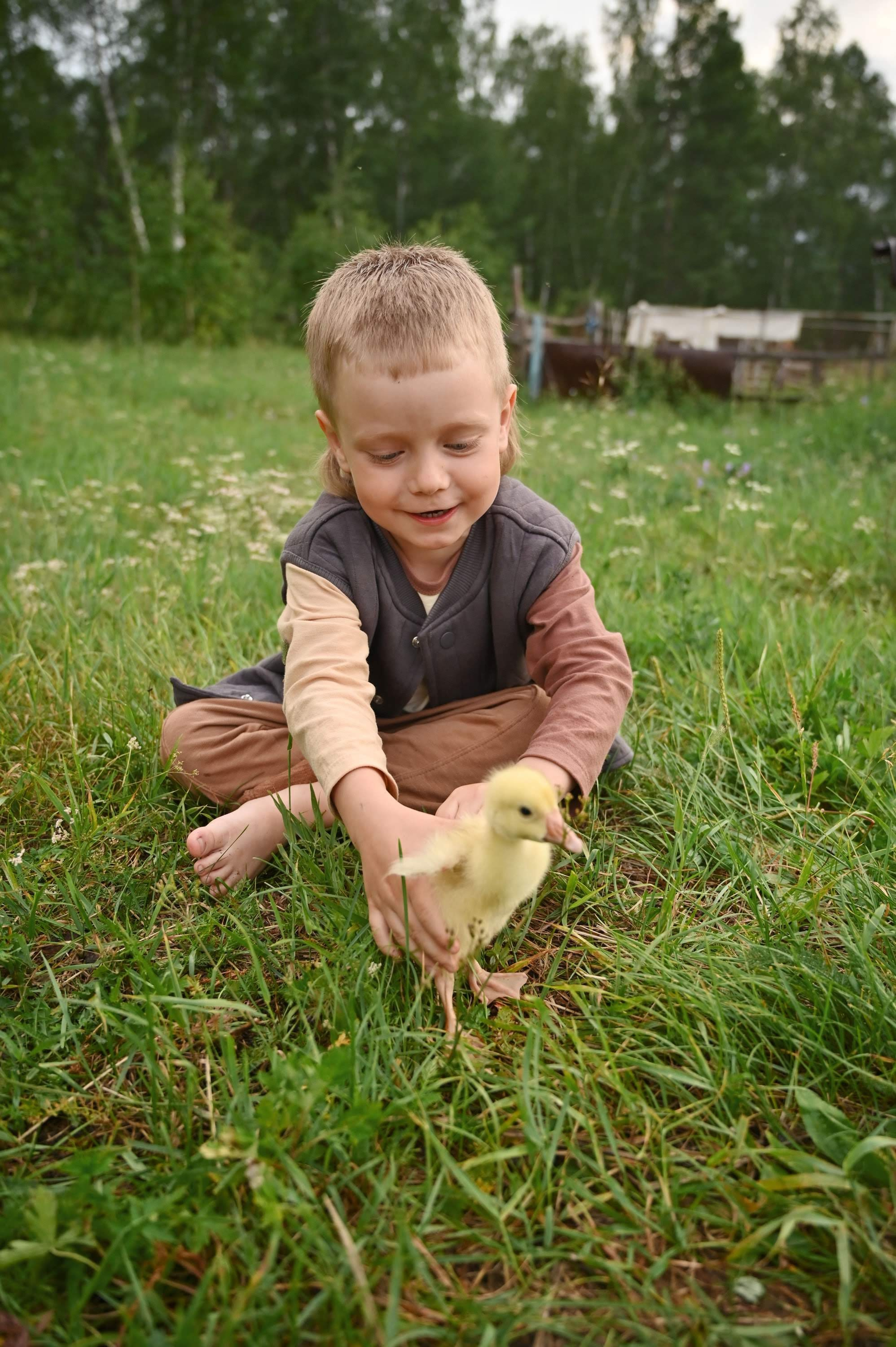 Дети и гусята. Семейный и детский фотограф в Хакасии