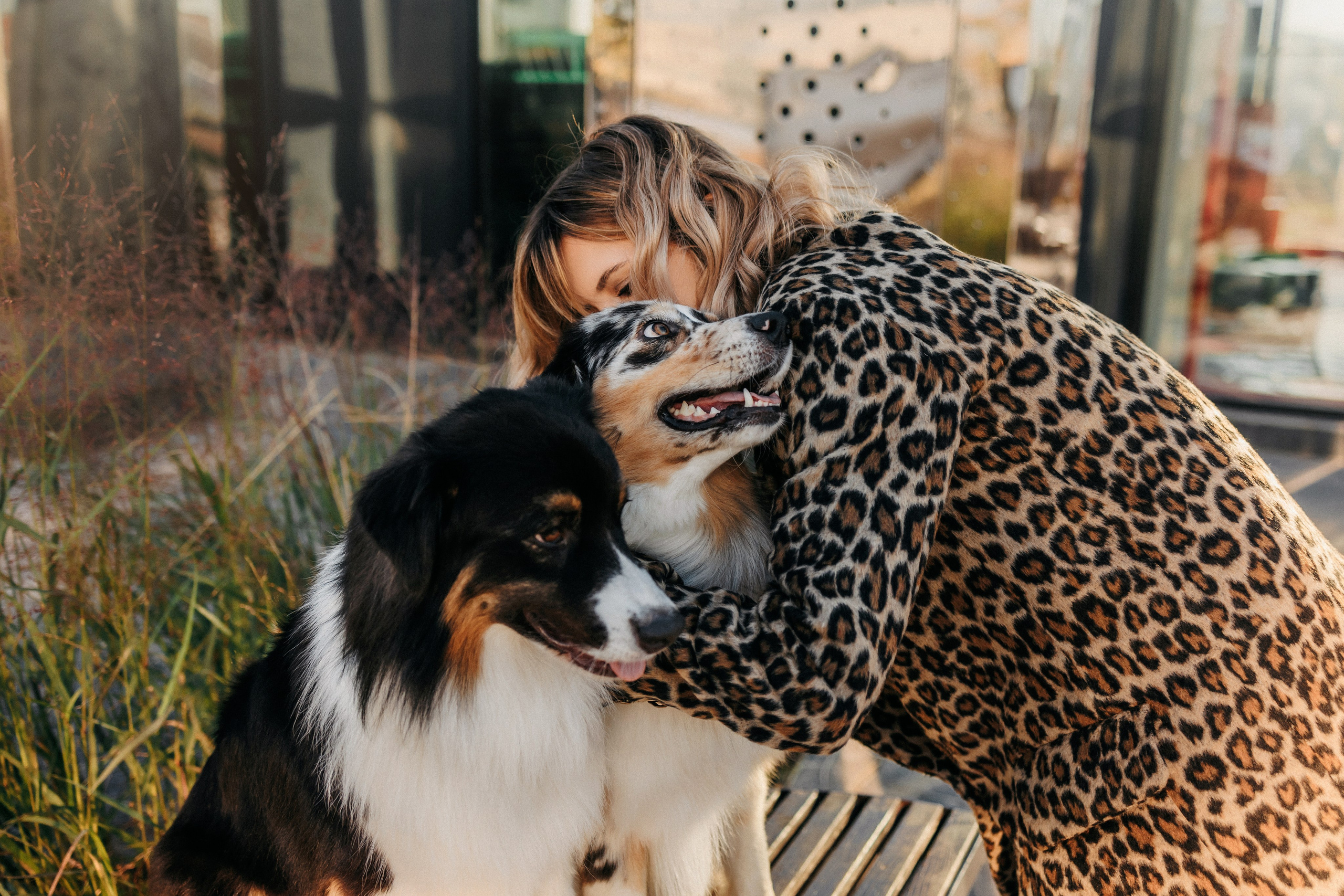 Аня, Чарли и Ева. Фотограф-анималист Елена Радченко, Москва