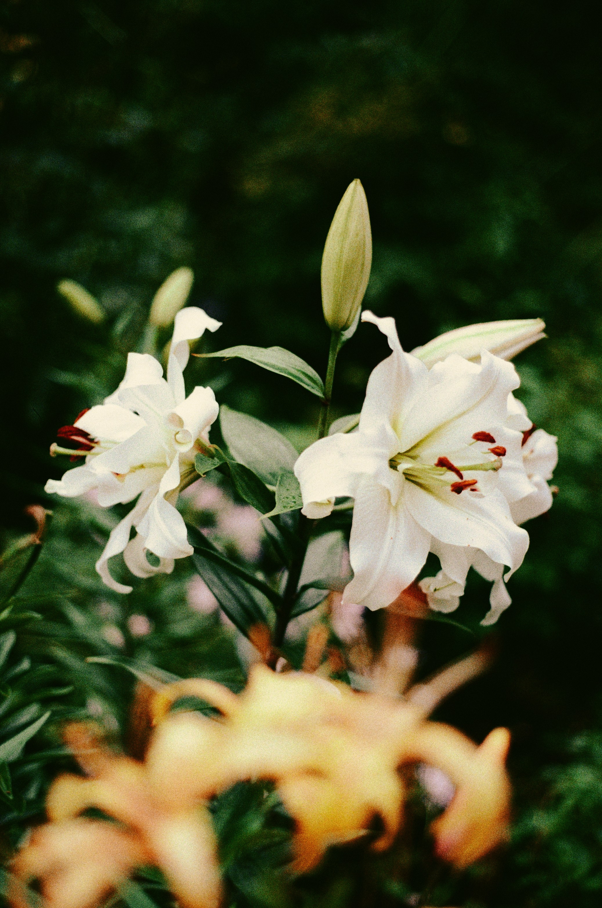 Фотограф в Москве Александр Иванов