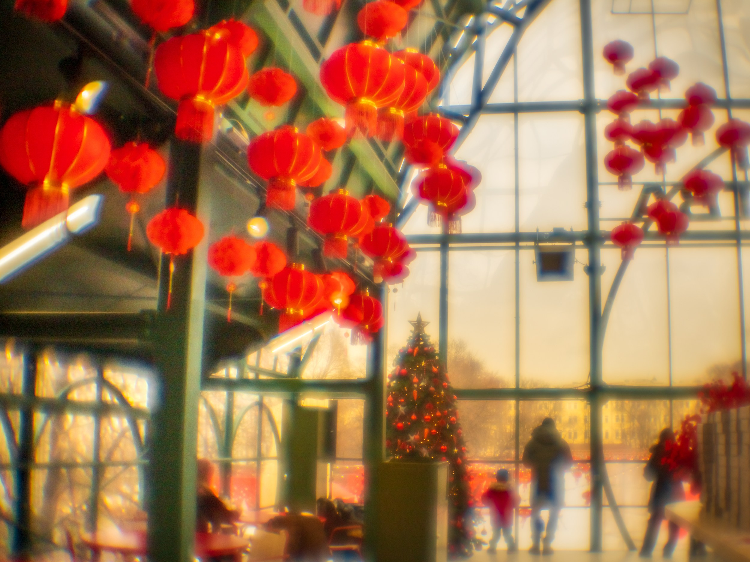 Выставка в Дарвиновском музее «О Китае, далёком и близком» 29/01/26 — 22/03/26. Фотограф в Москве Татьяна Макотра