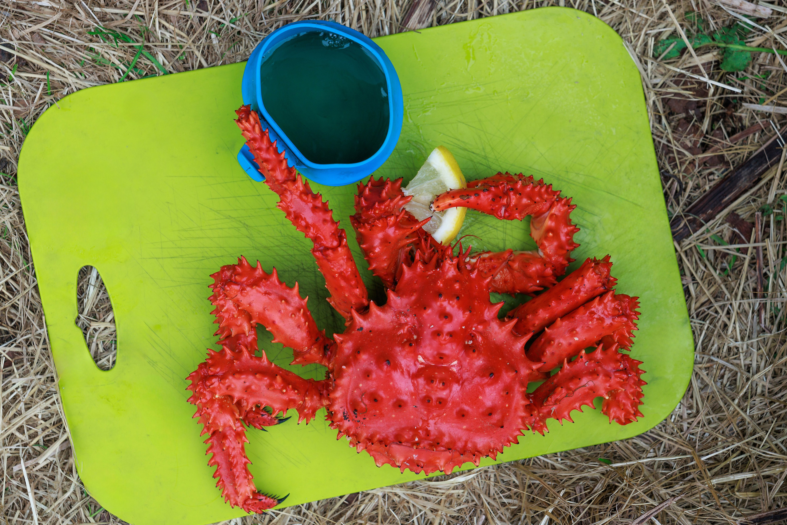 Travel. Индивидуальная и семейная съёмка. Москва, Наталья Самохвалова