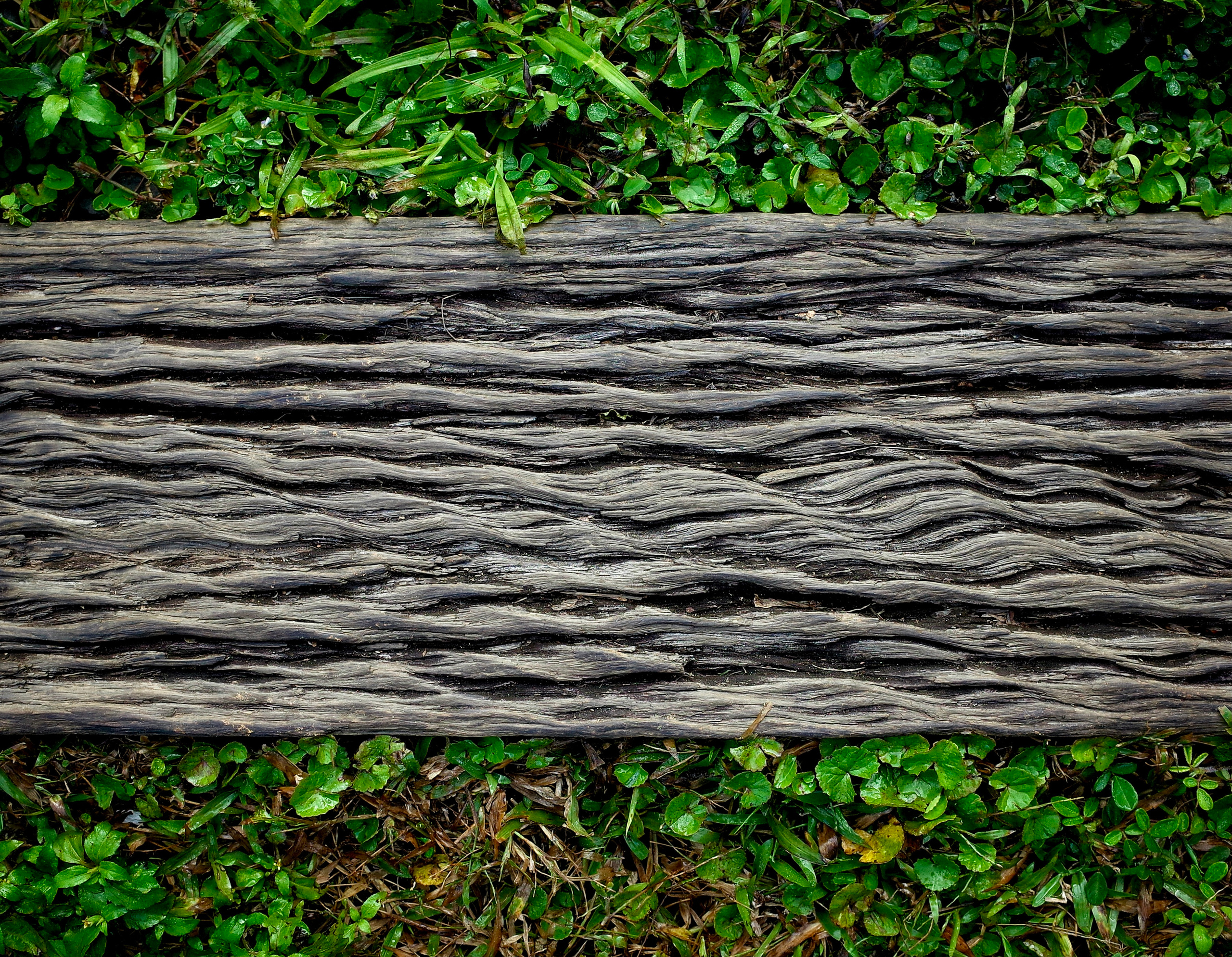 Structure and forms. See the moment and catche. commercial and reportage