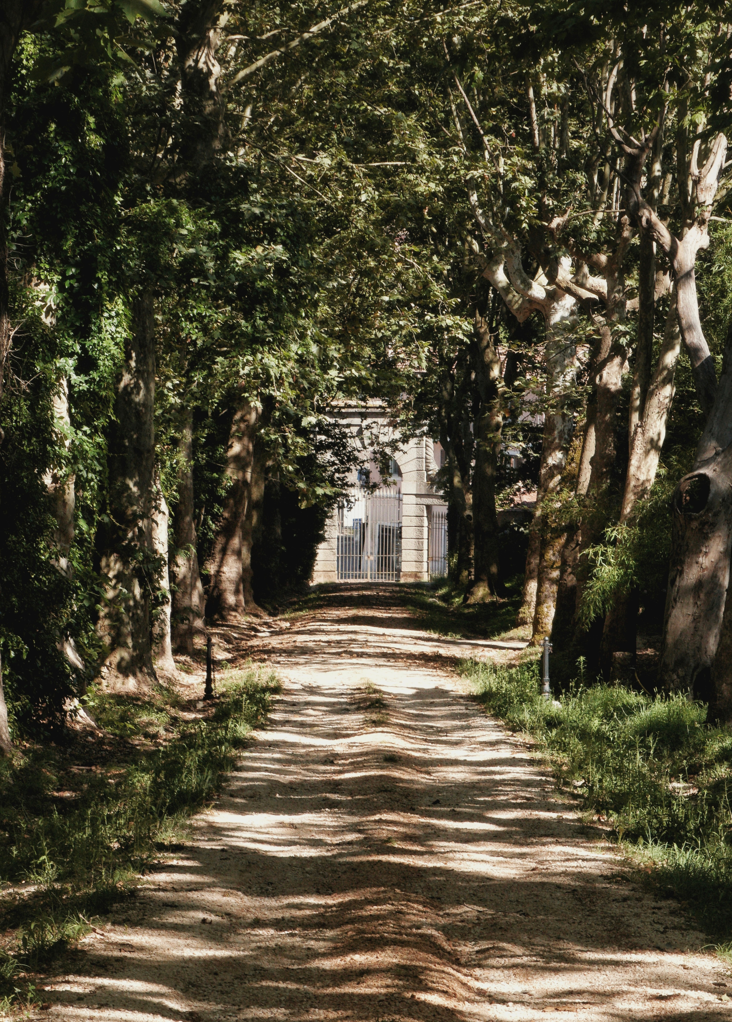 Wallpaper. See the moment and catche. commercial and reportage