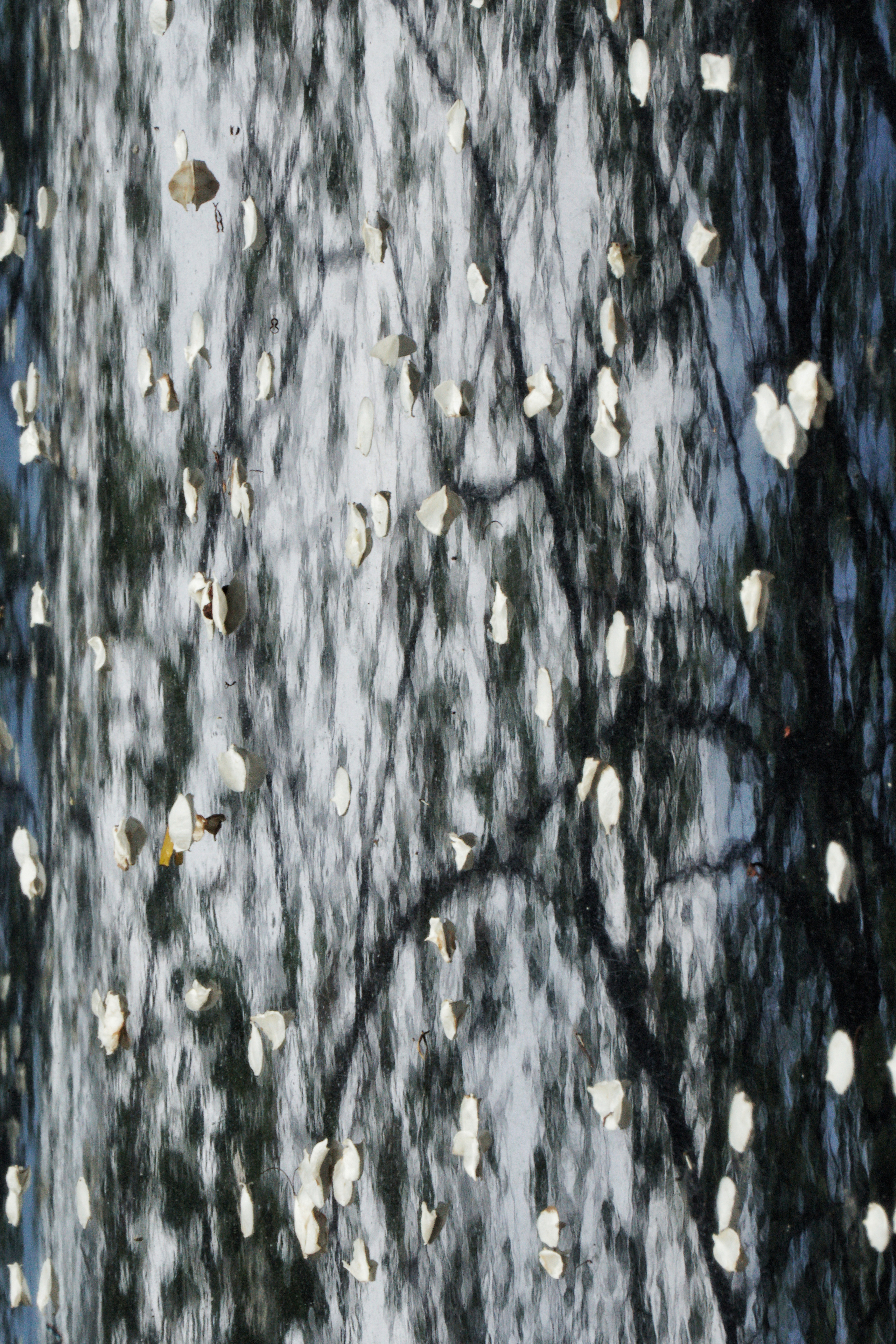 Structure and forms. See the moment and catche. commercial and reportage