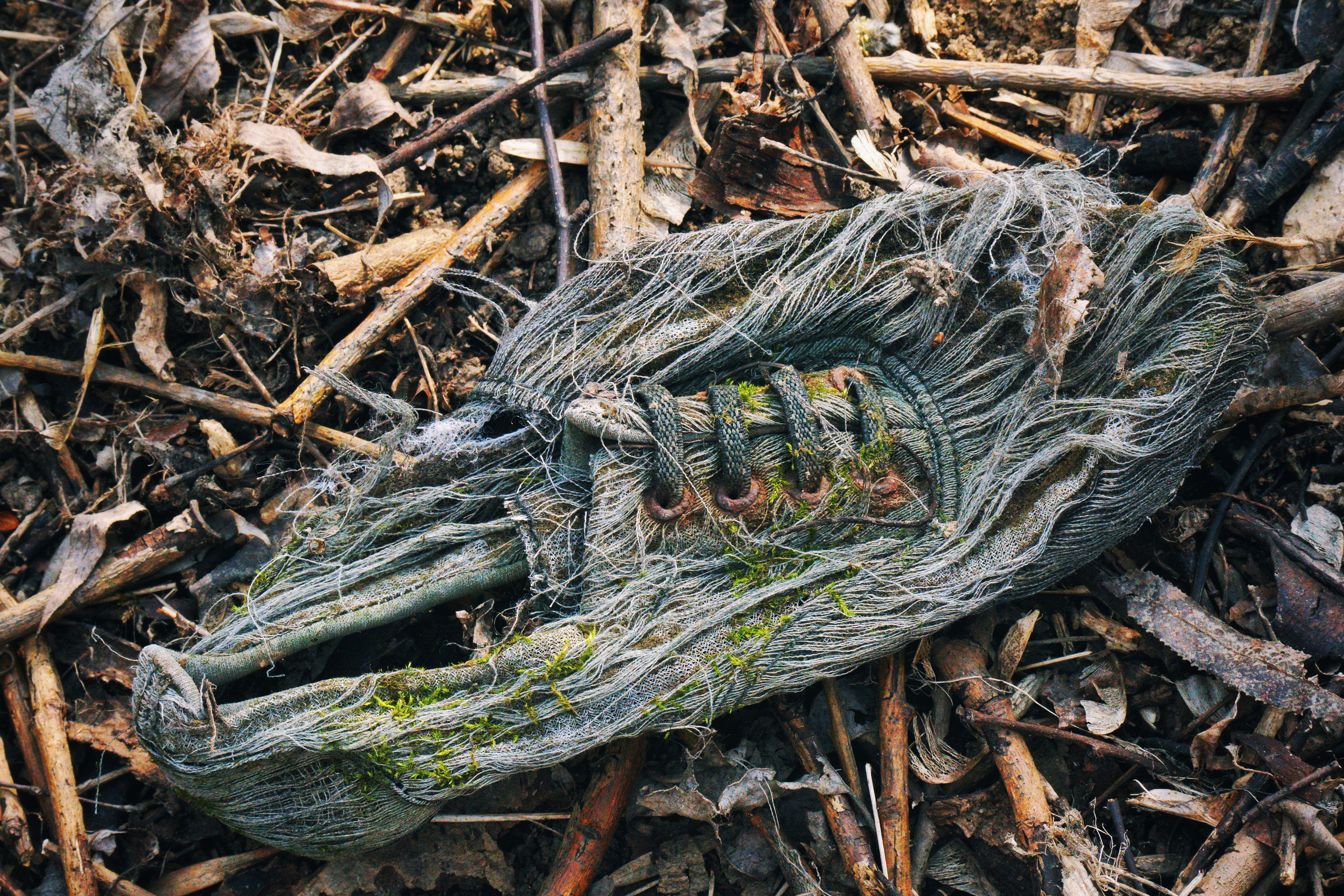 Structure and forms. See the moment and catche. commercial and reportage