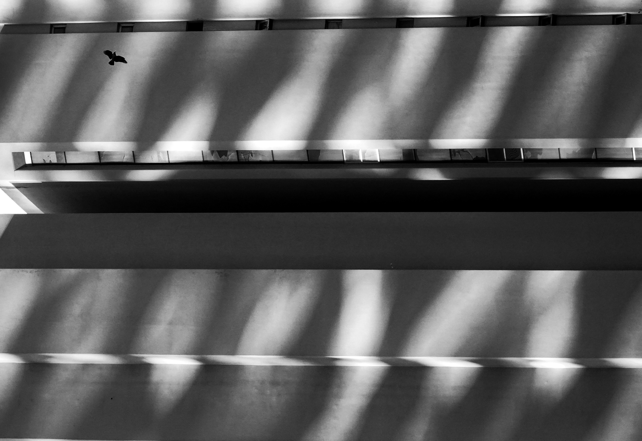 Structure and forms. See the moment and catche. commercial and reportage