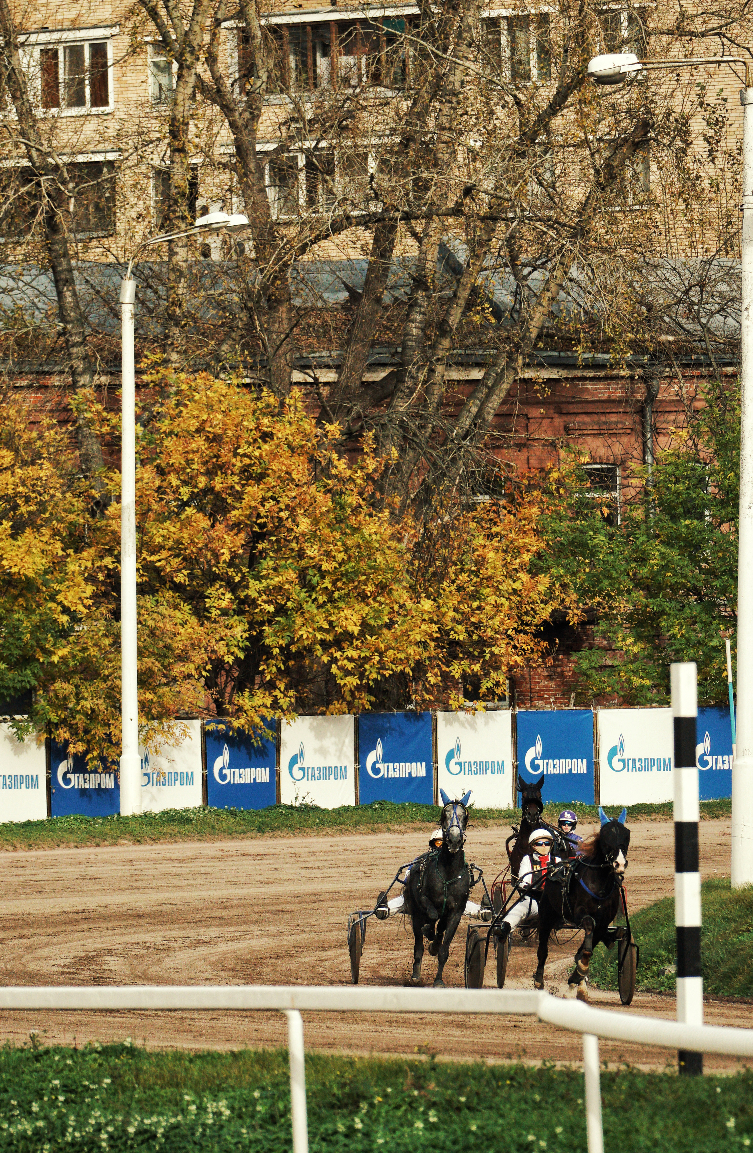 Hippodrome day. See the moment and catche. commercial and reportage