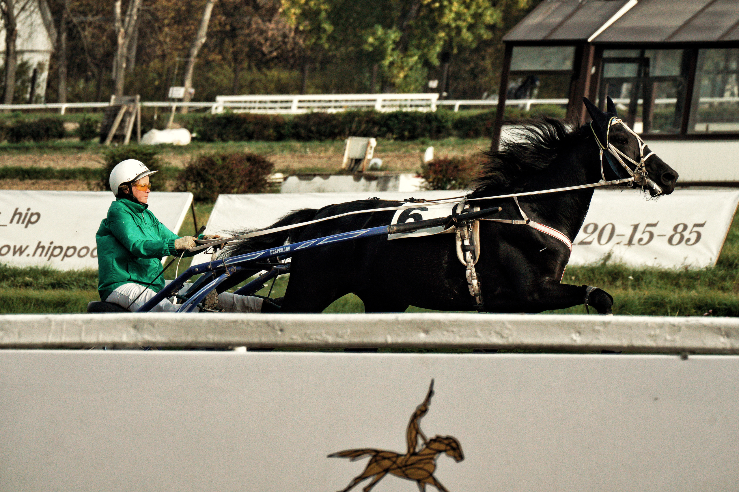 Hippodrome day. See the moment and catche. commercial and reportage