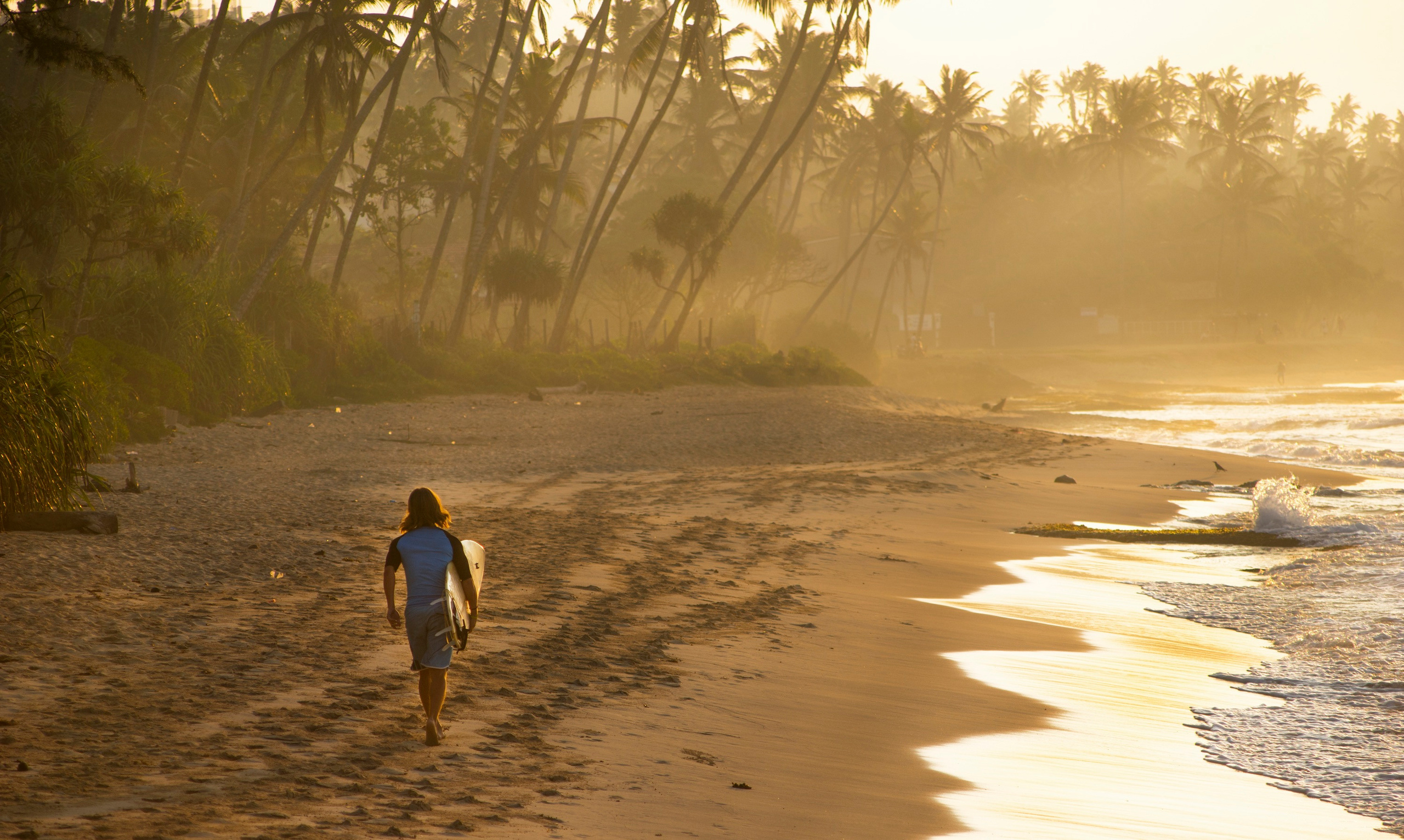 Action. See the moment and catche. commercial and reportage