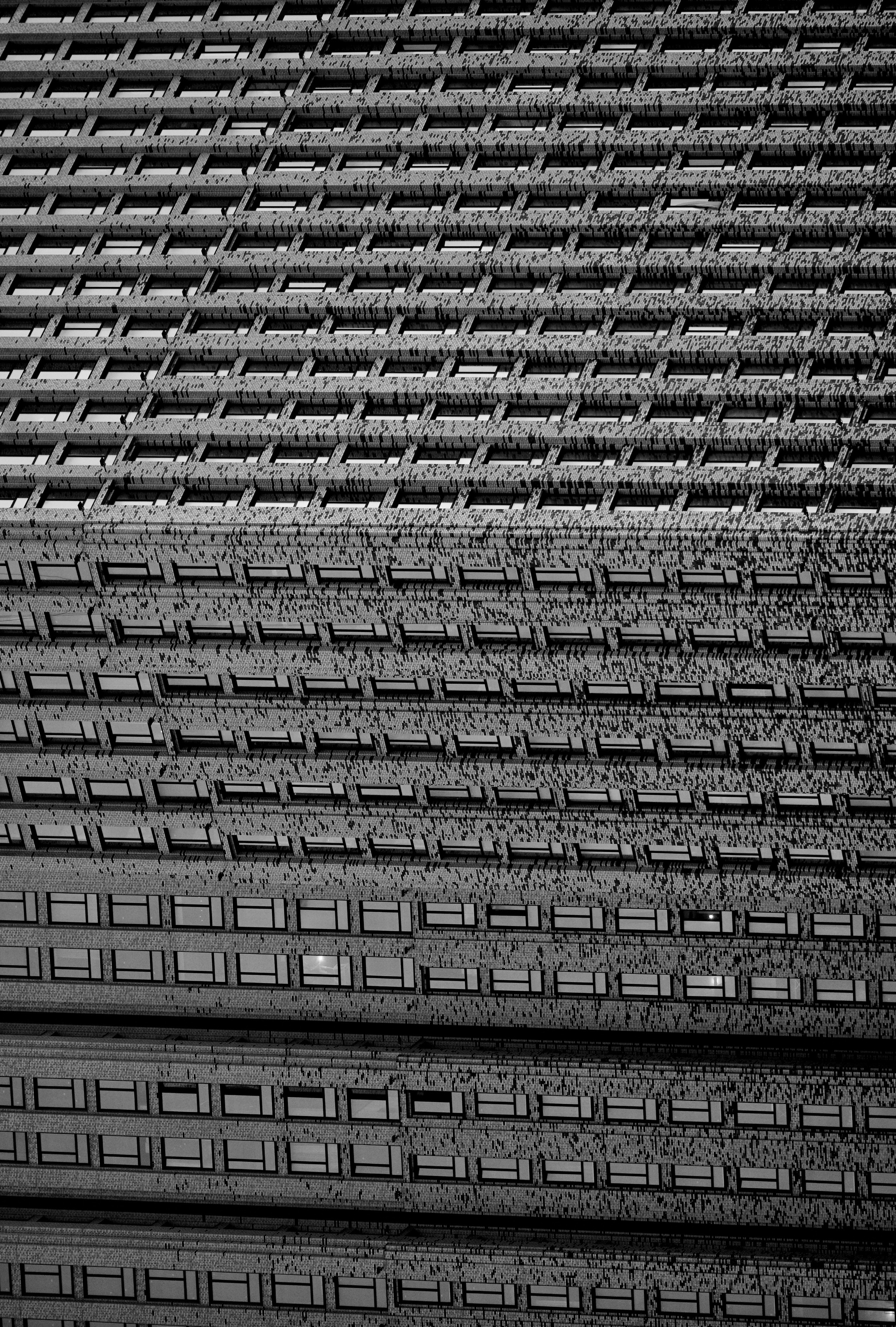 Structure and forms. See the moment and catche. commercial and reportage