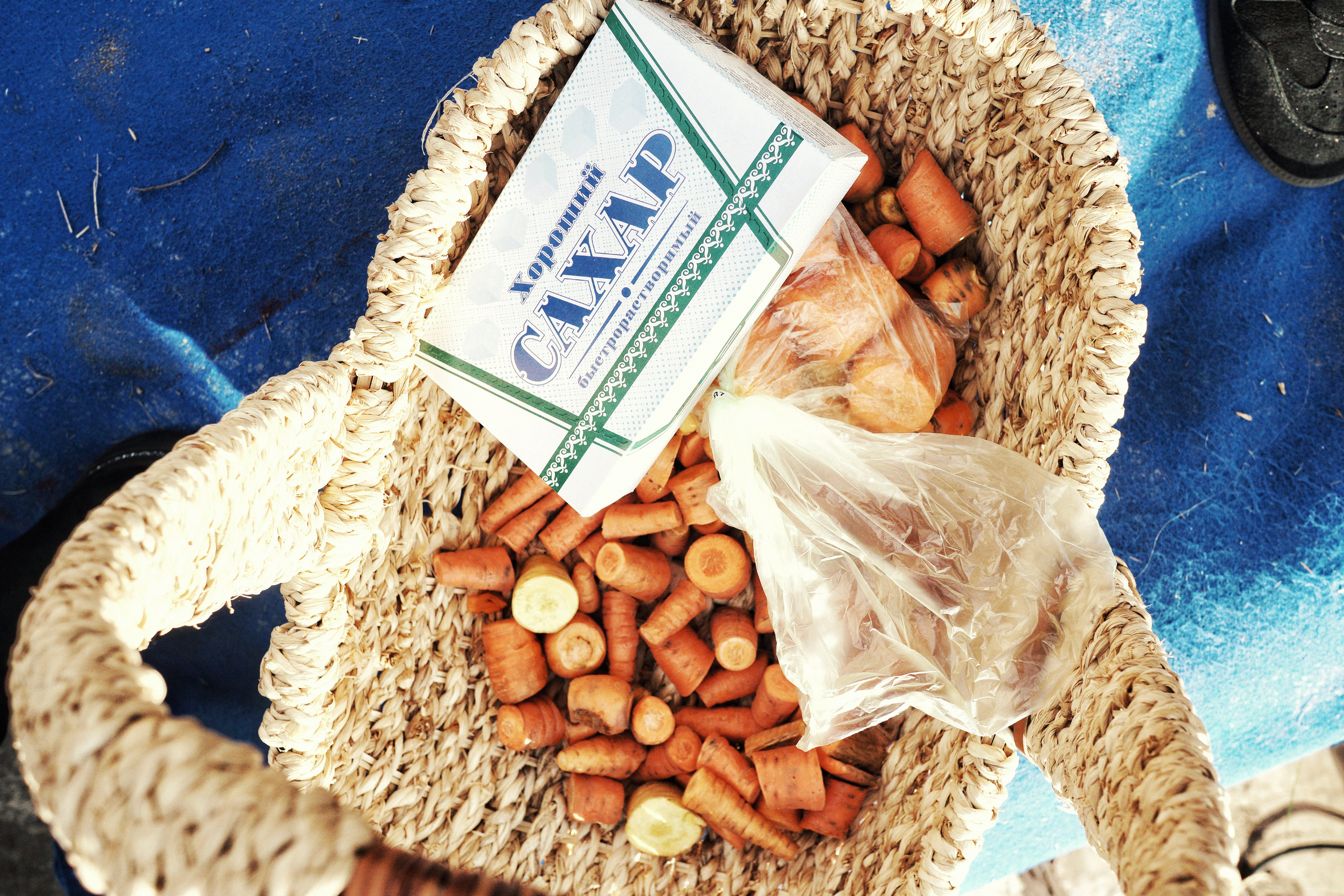 Hippodrome day. See the moment and catche. commercial and reportage