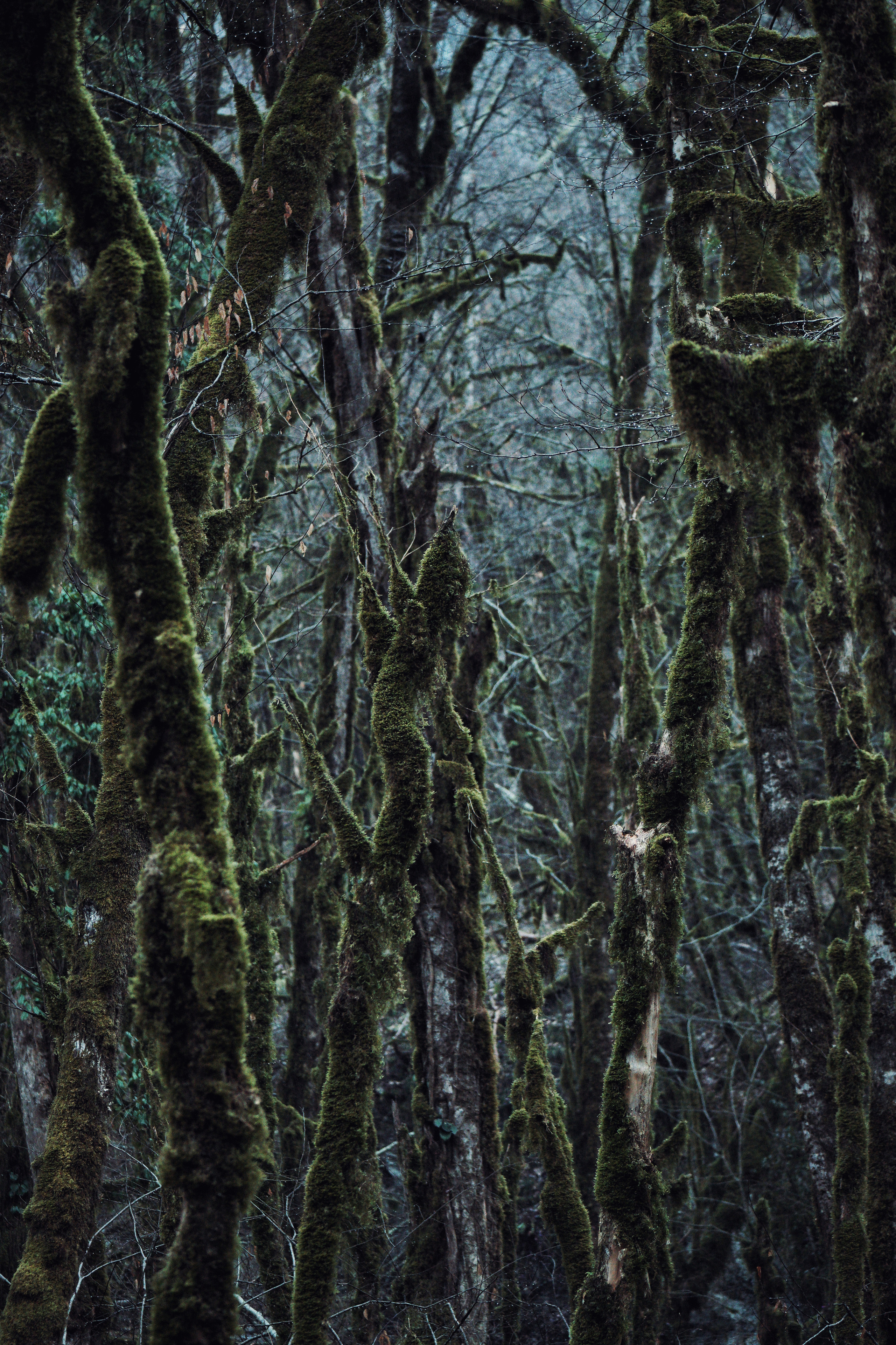 Structure and forms. See the moment and catche. commercial and reportage