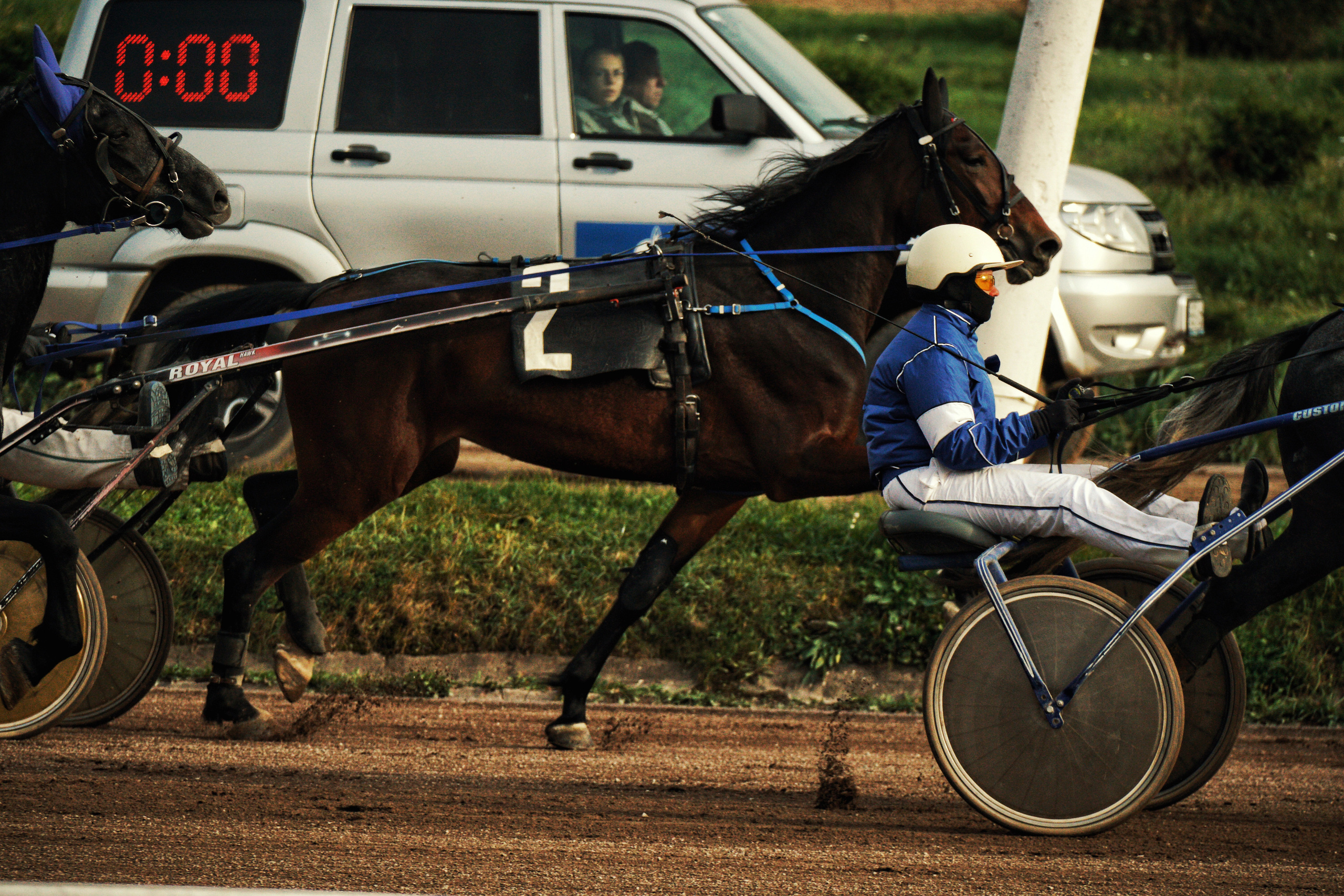 Hippodrome day. See the moment and catche. commercial and reportage