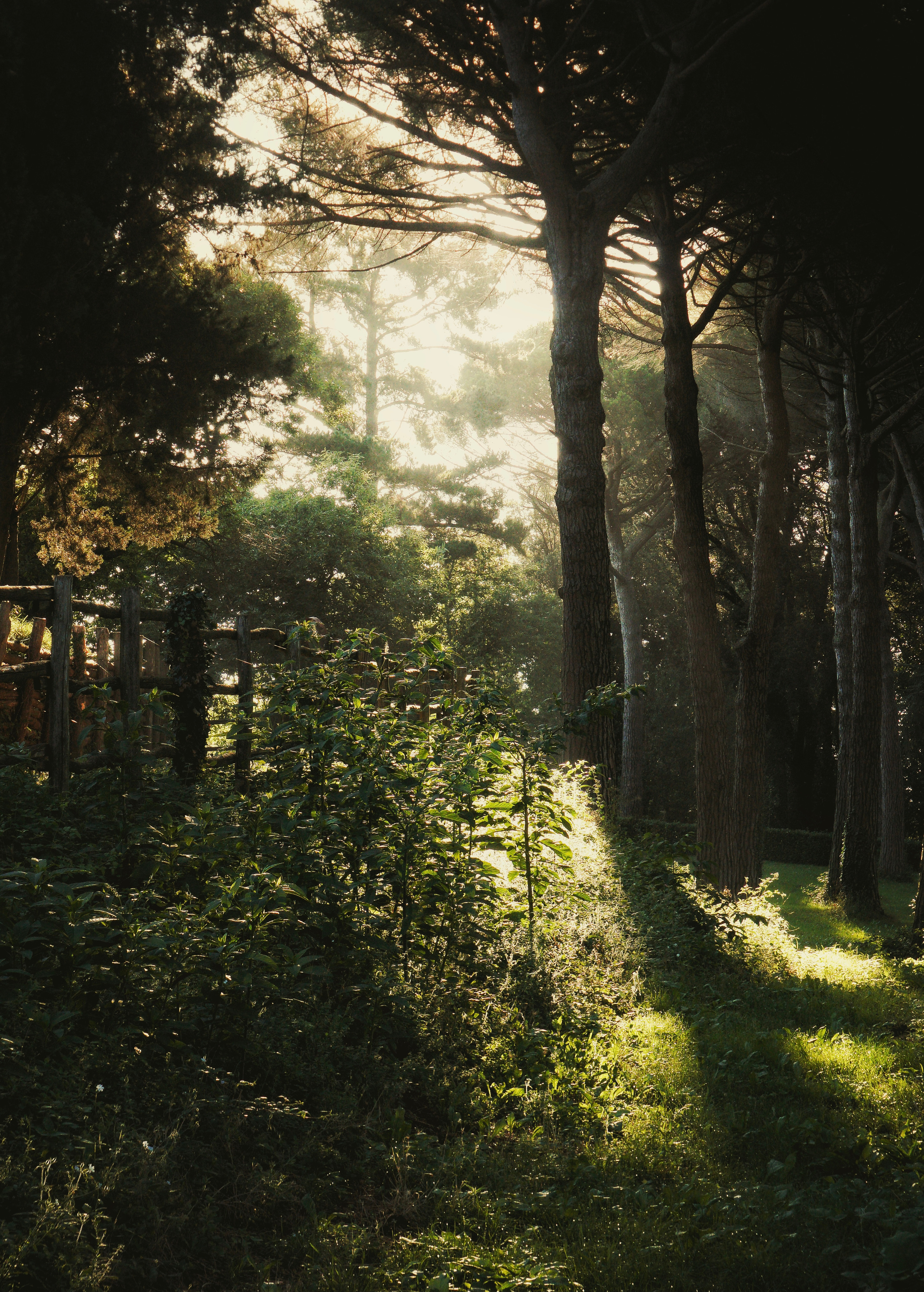 Wallpaper. See the moment and catche. commercial and reportage