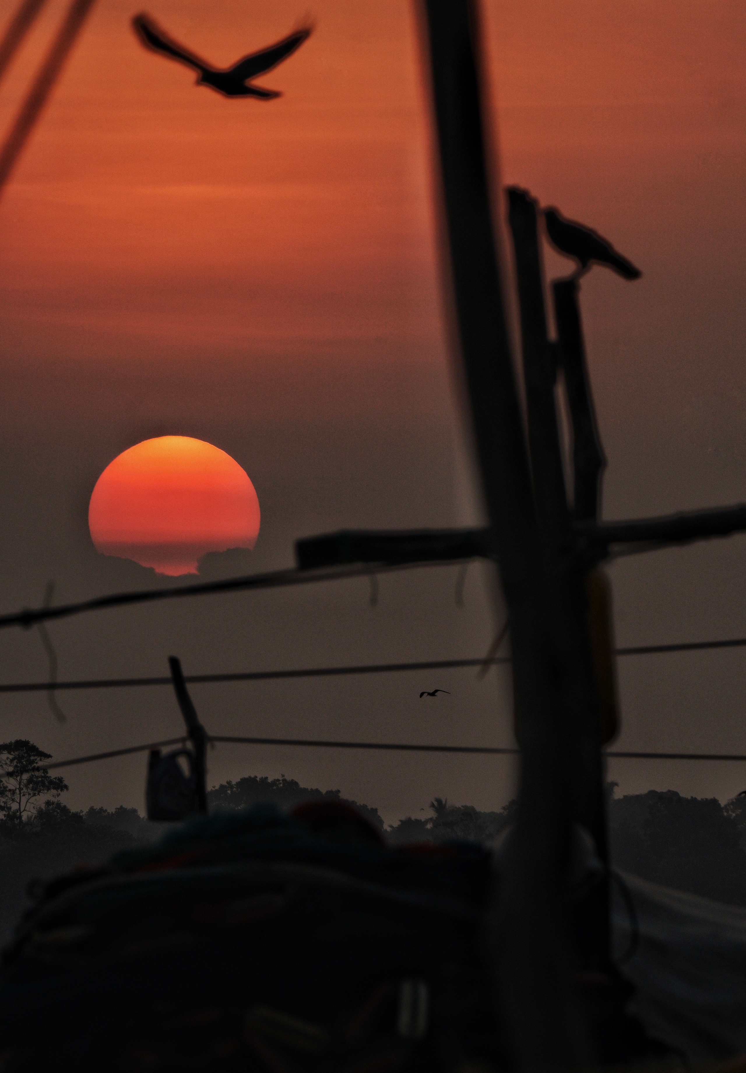 Wallpaper. See the moment and catche. commercial and reportage