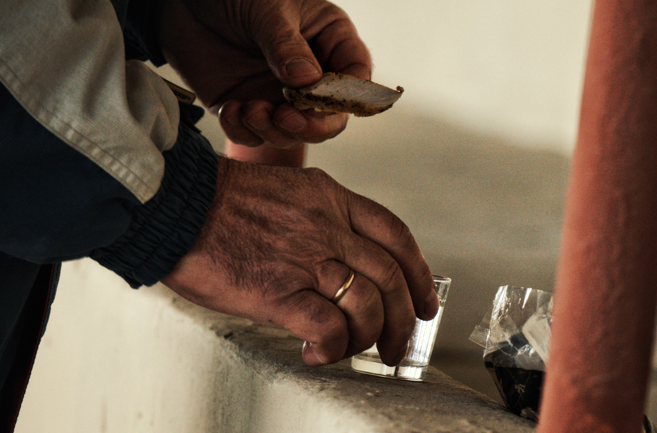 Hippodrome day. See the moment and catche. commercial and reportage