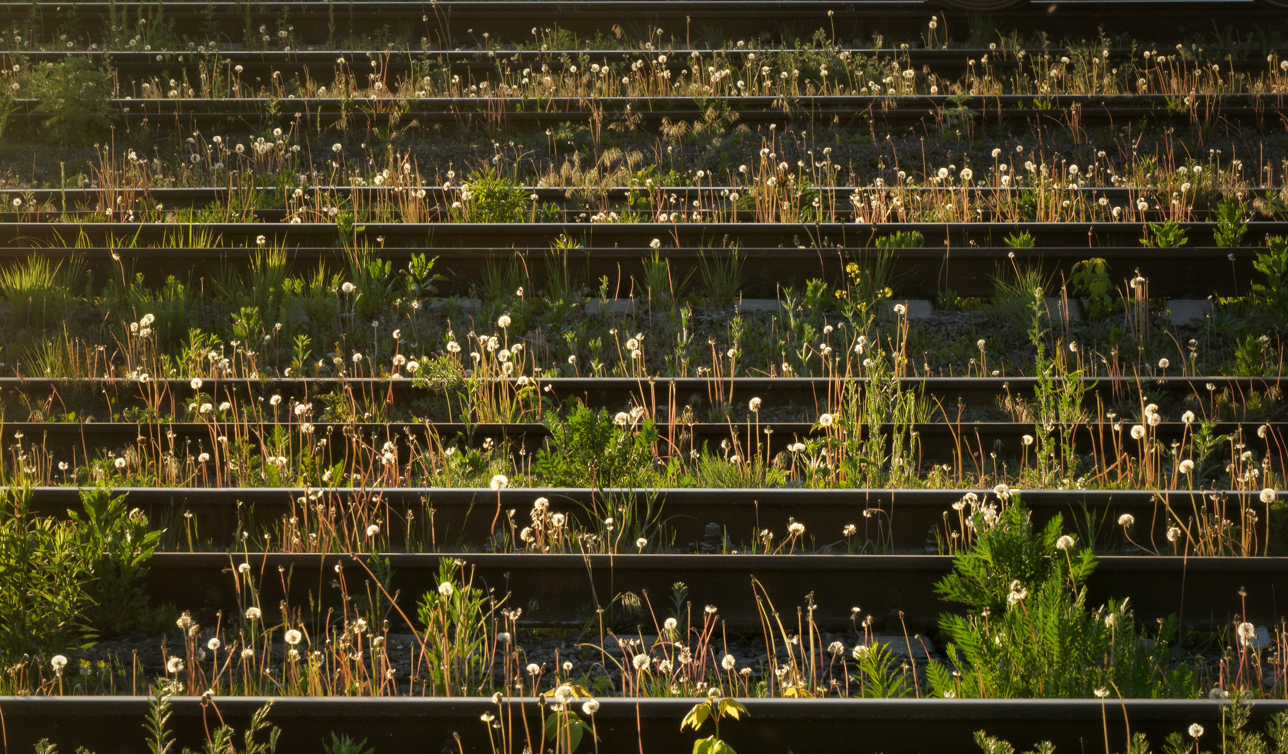 Wallpaper. See the moment and catche. commercial and reportage