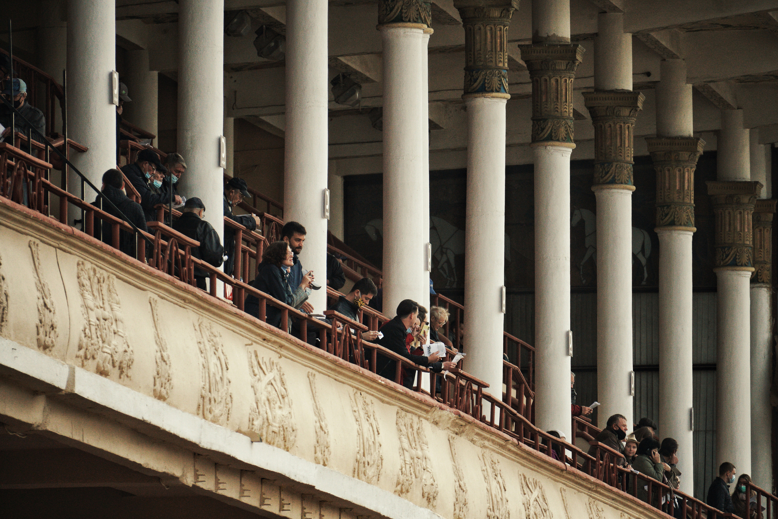 Hippodrome day. See the moment and catche. commercial and reportage