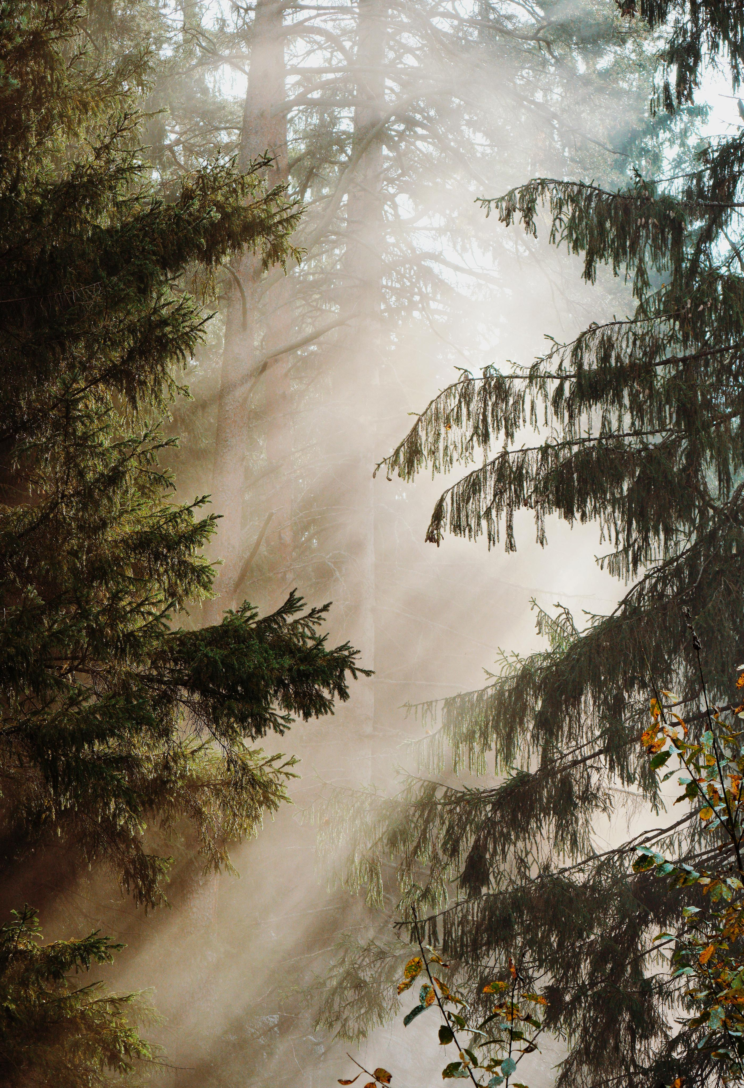 Wallpaper. See the moment and catche. commercial and reportage